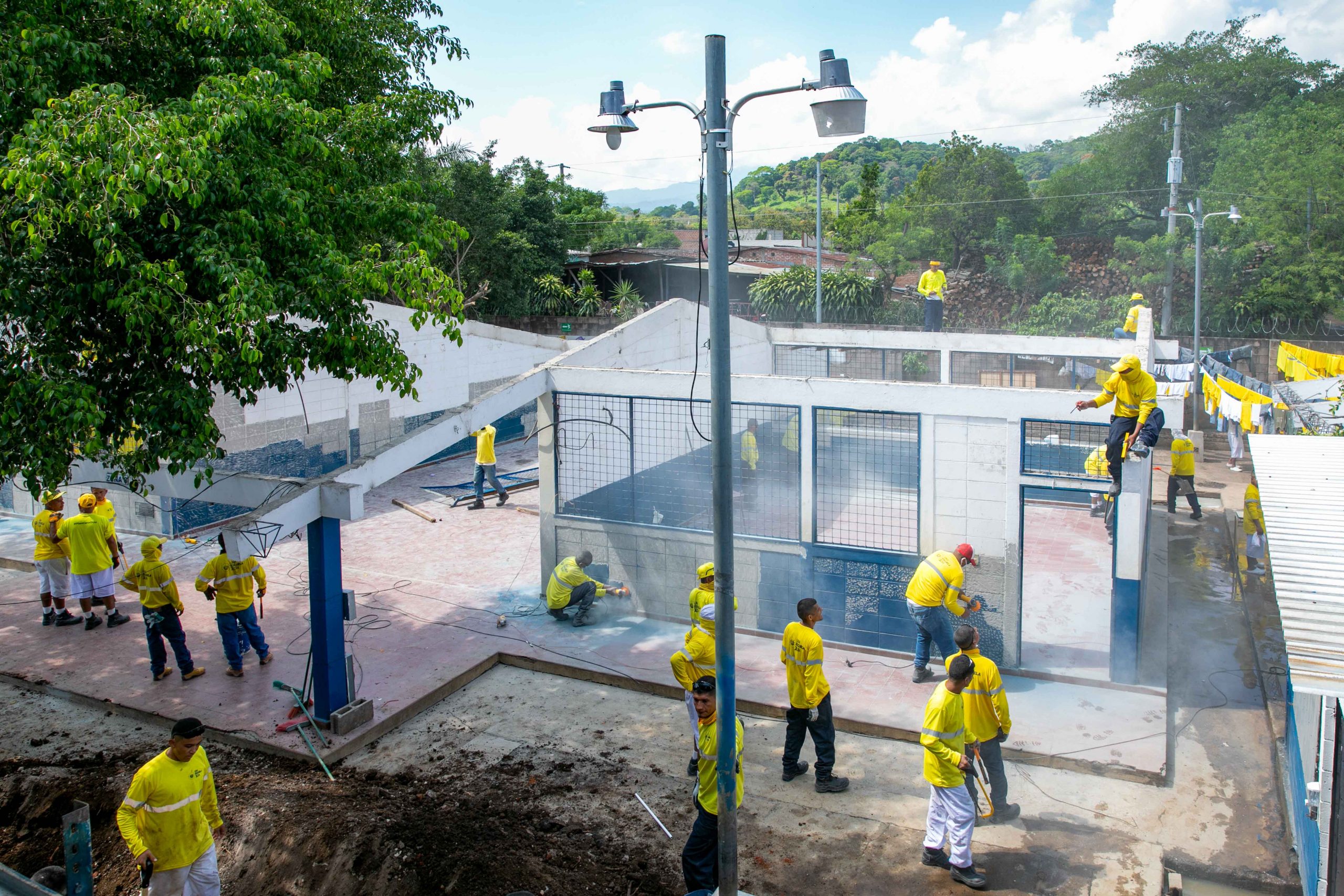 Imagen de la galería