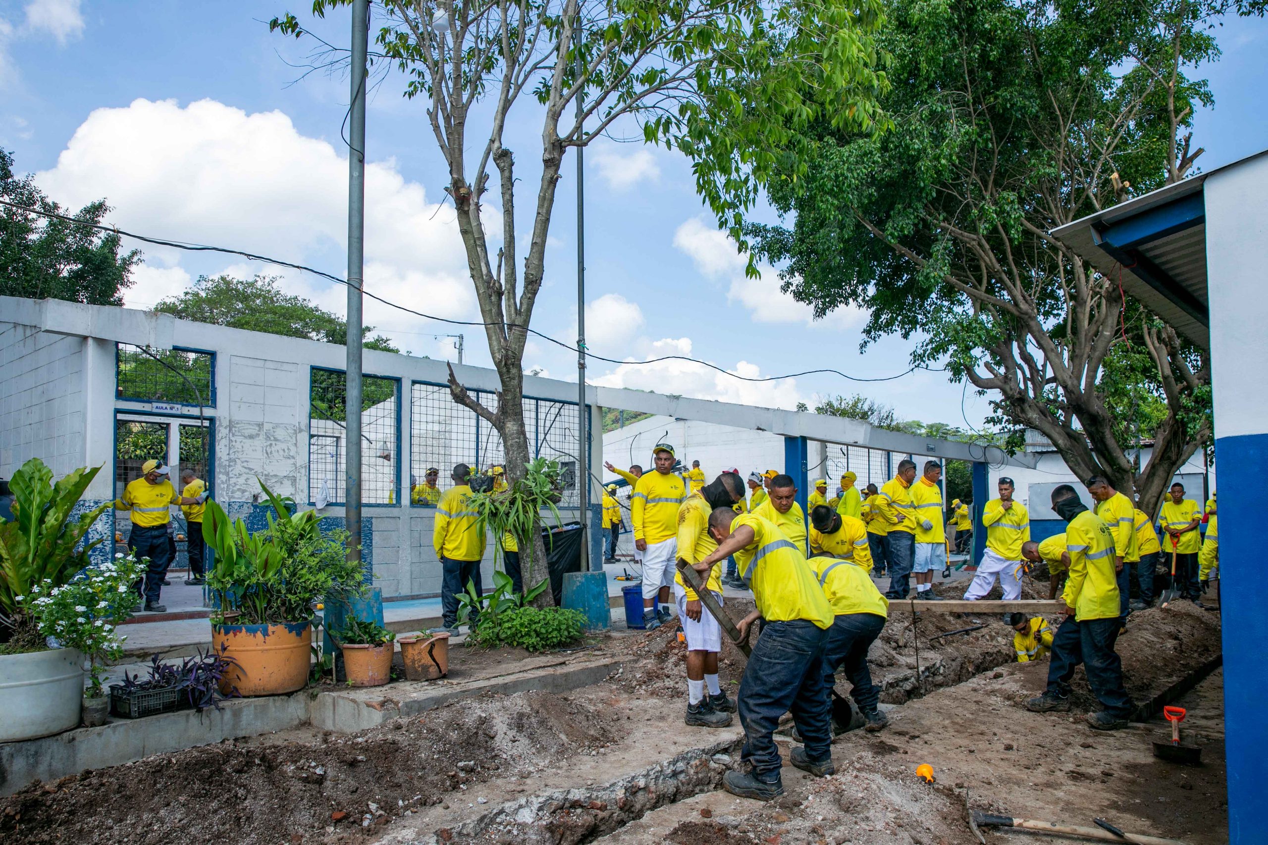Imagen de la galería