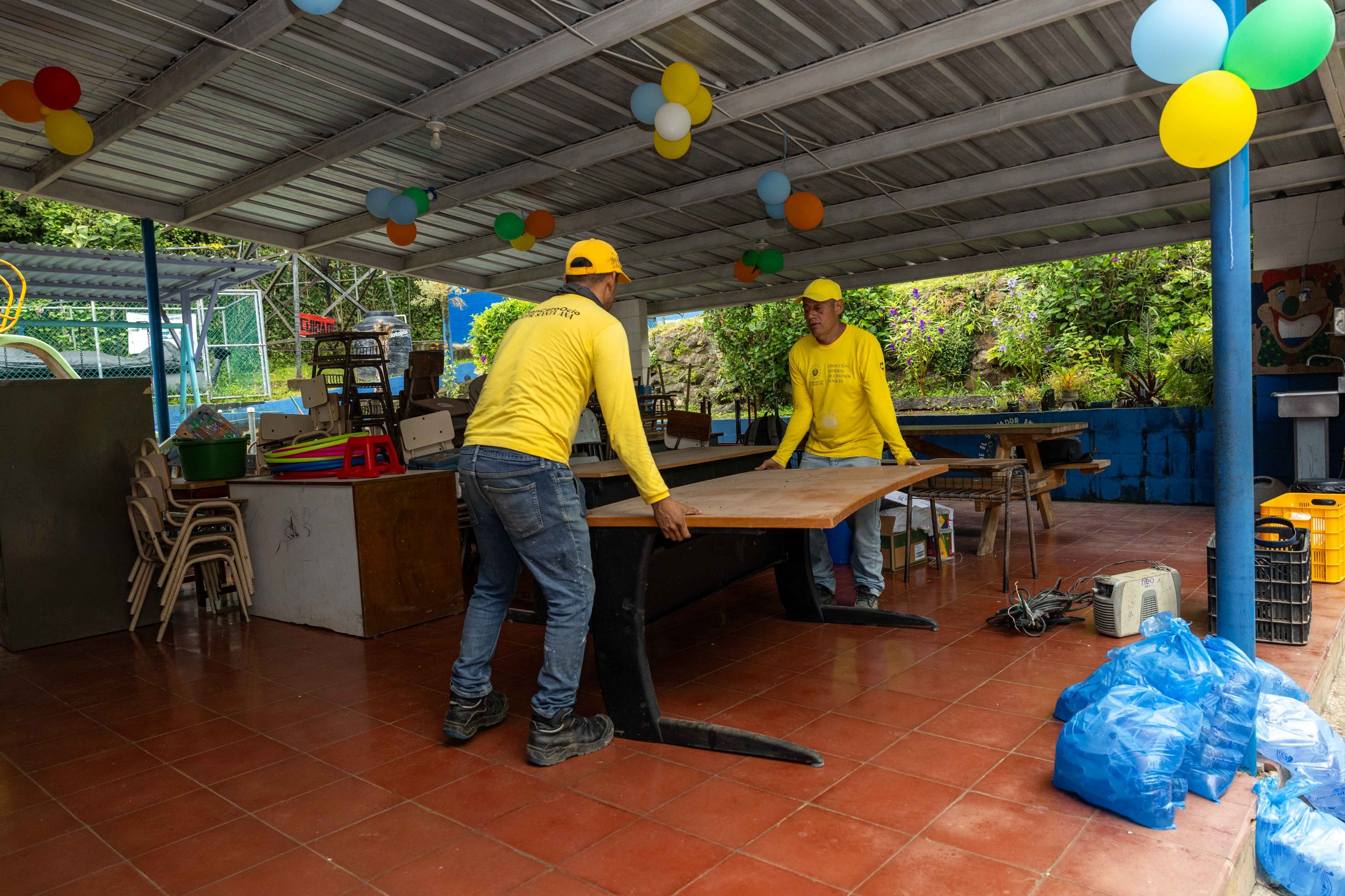 Imagen de la galería