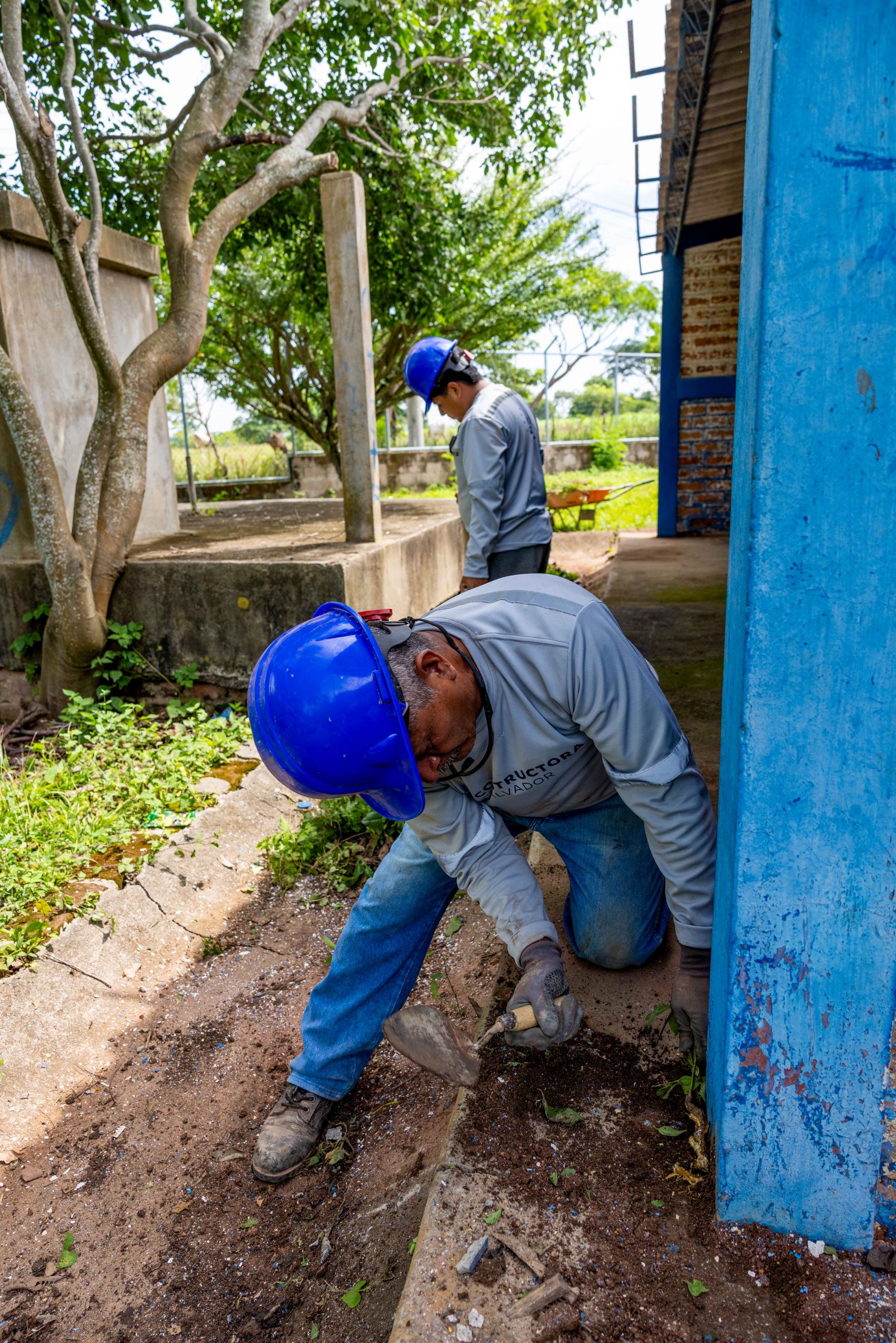 Imagen de la galería