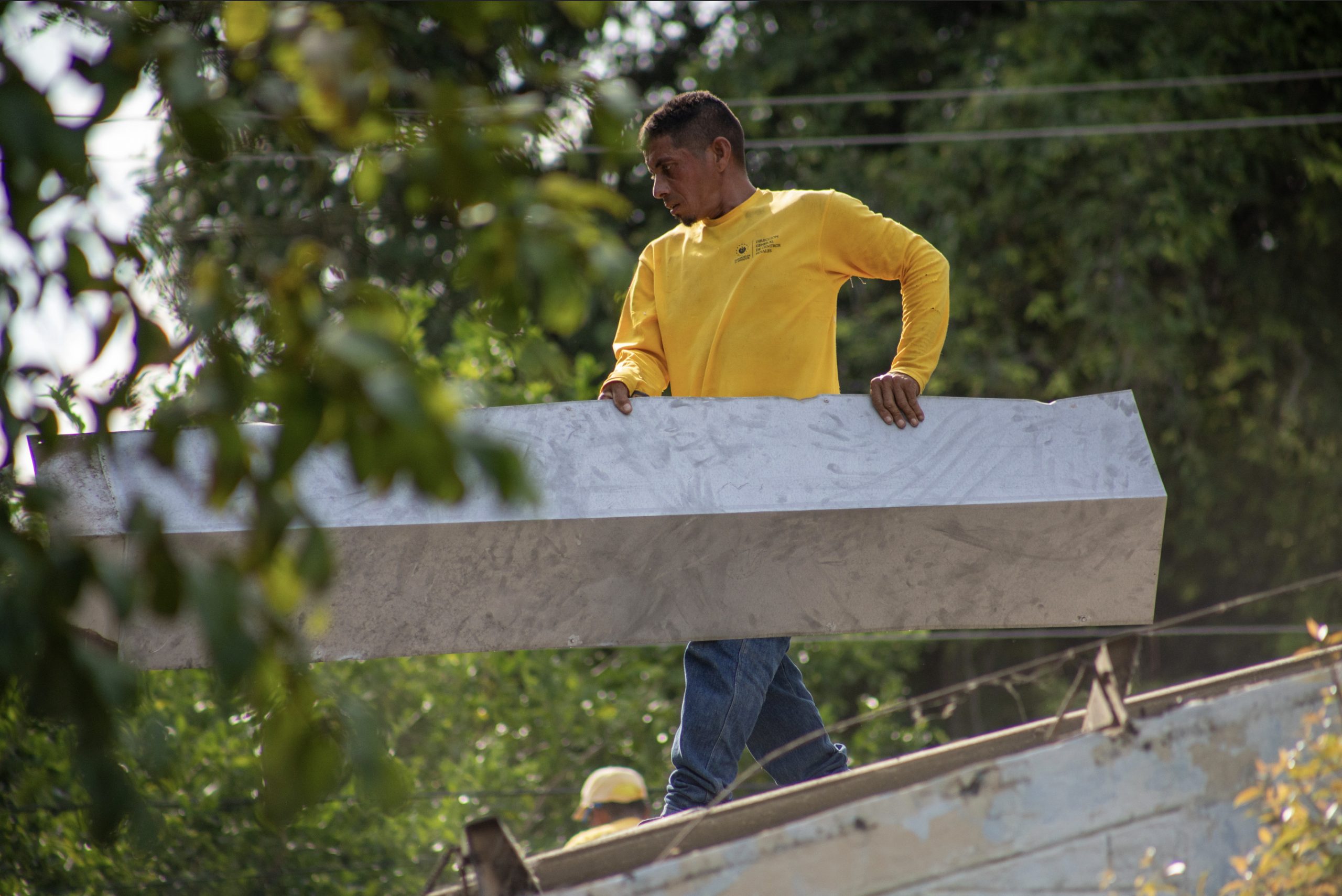 Imagen de la galería