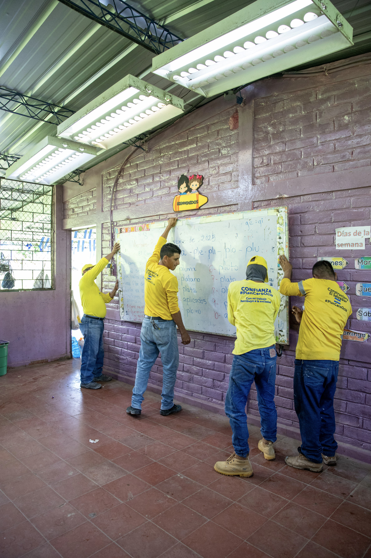Imagen de la galería