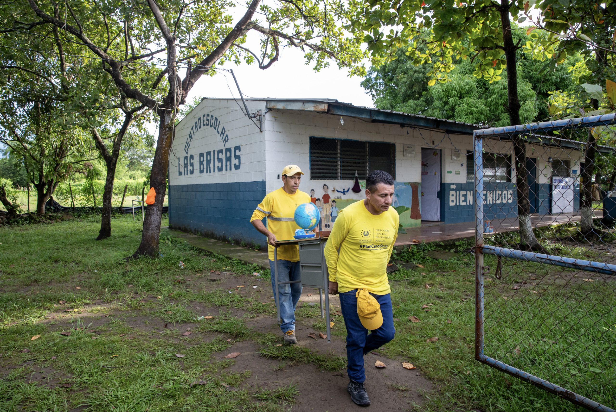 Imagen de la galería