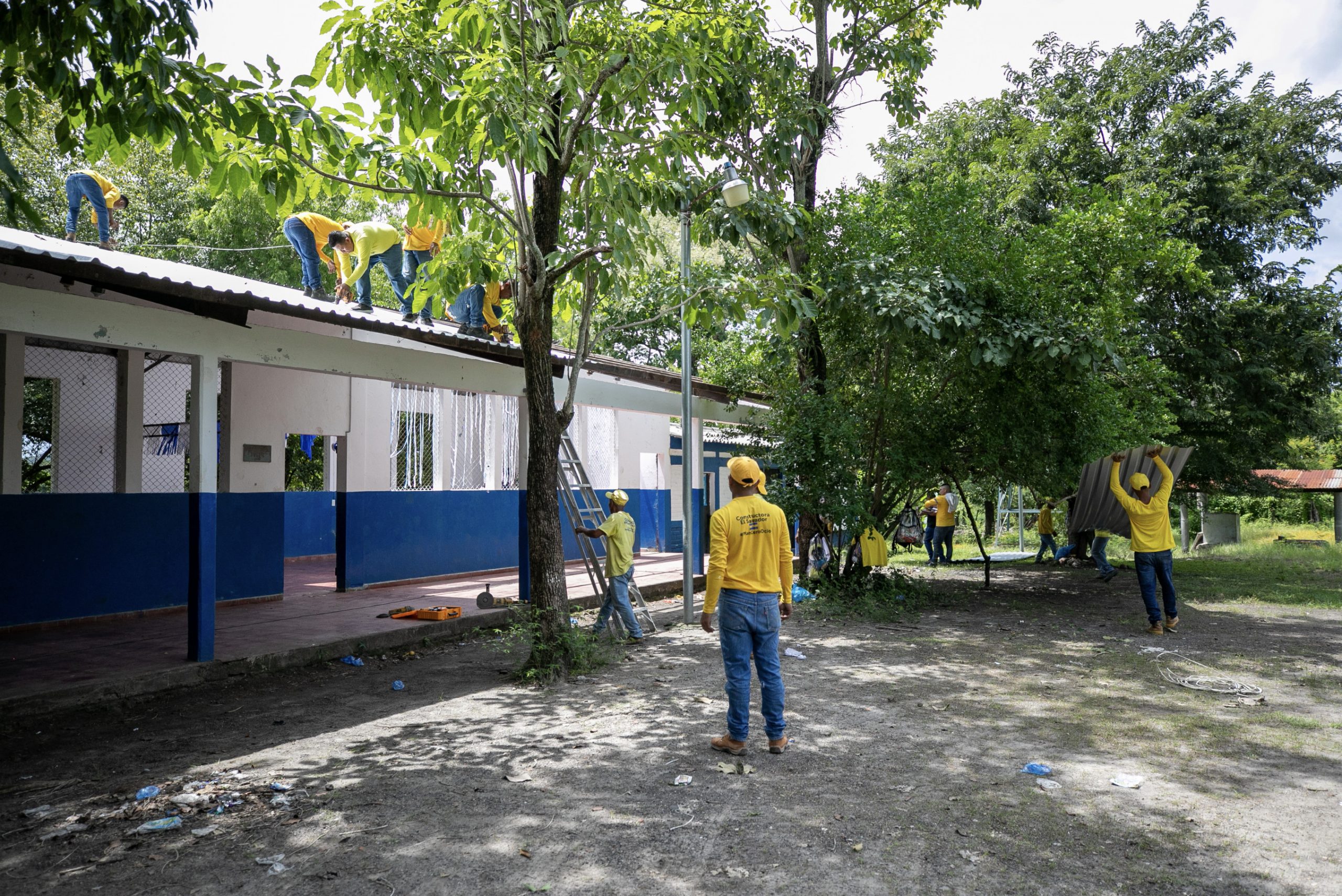 Imagen de la galería