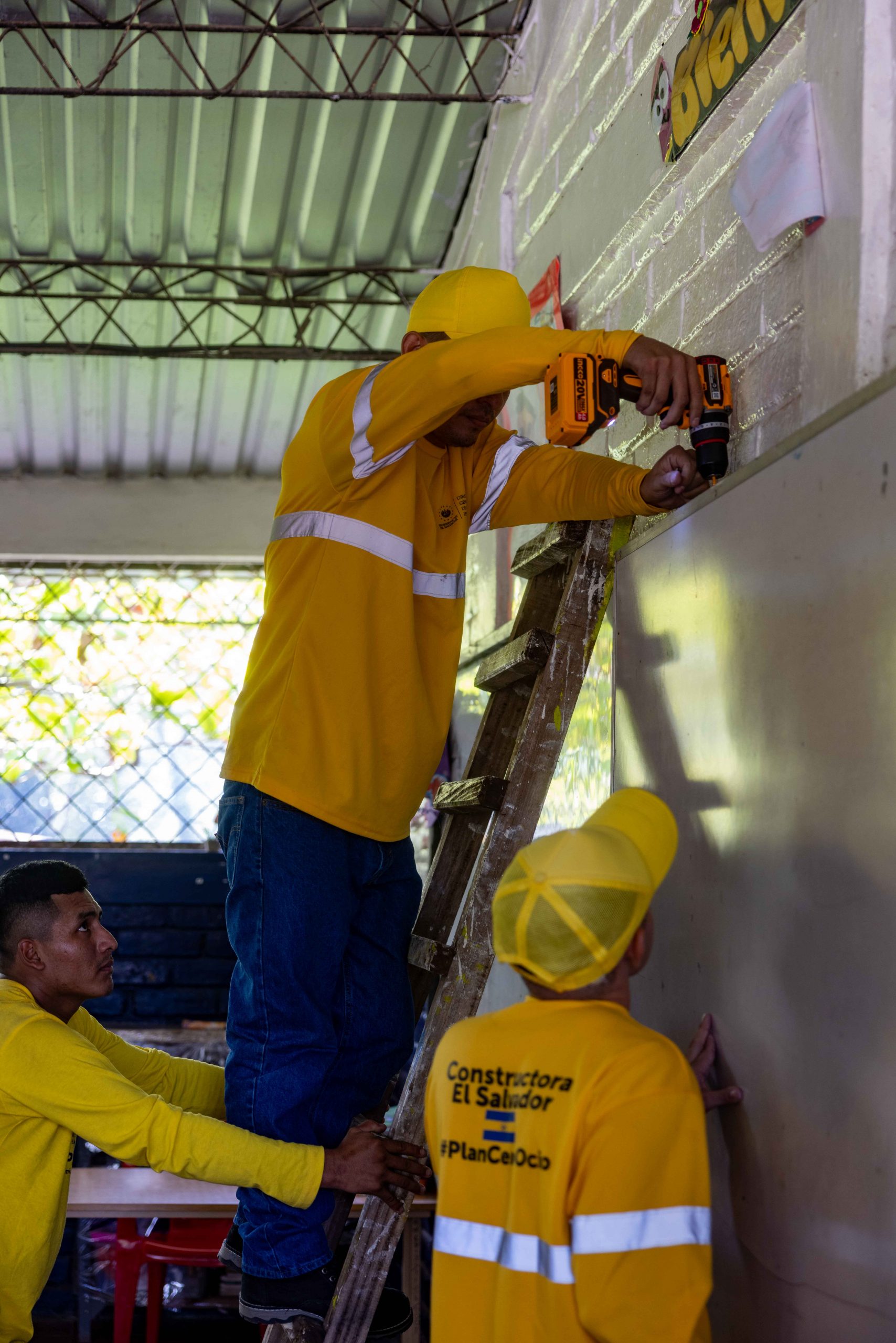 Imagen de la galería