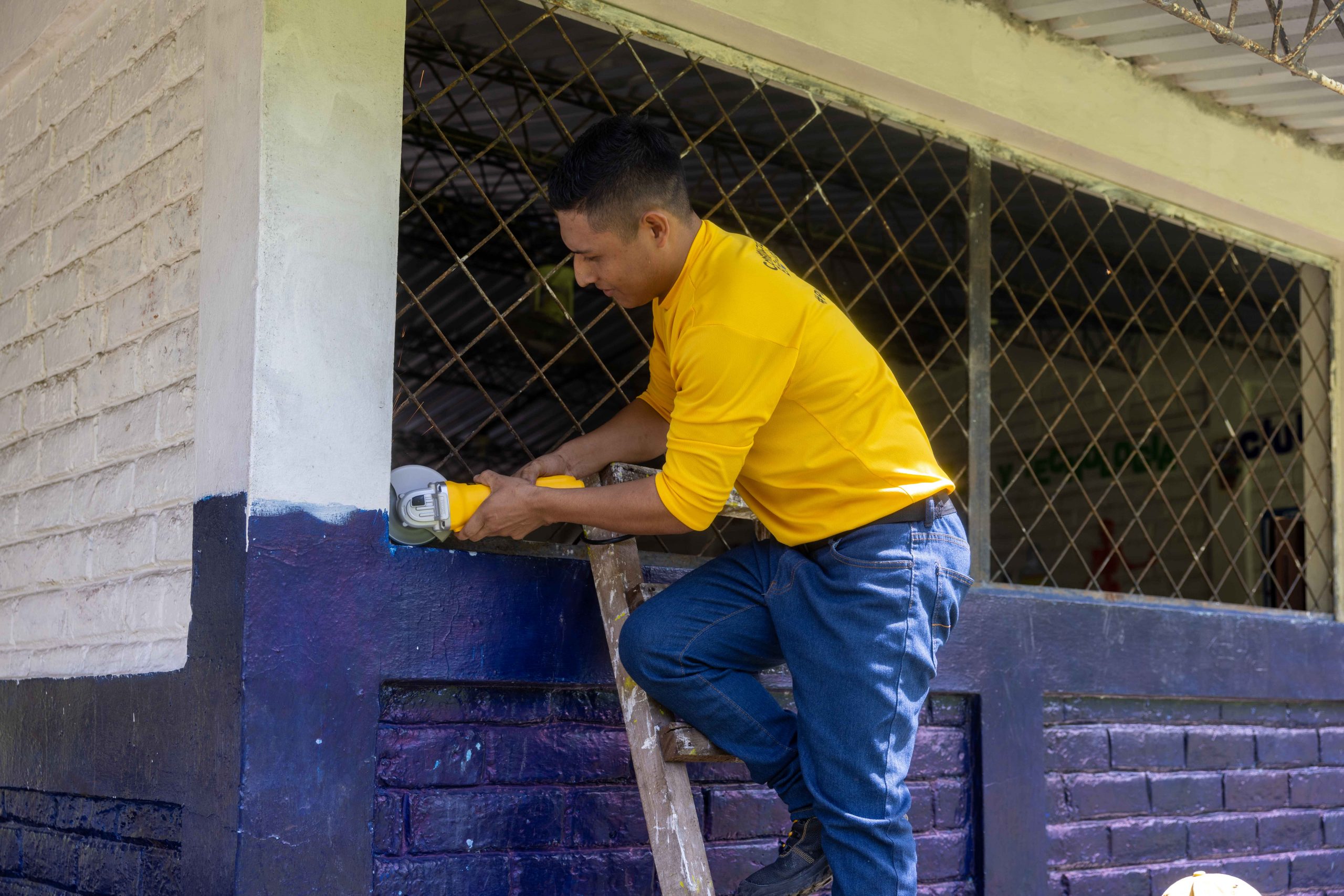 Imagen de la galería