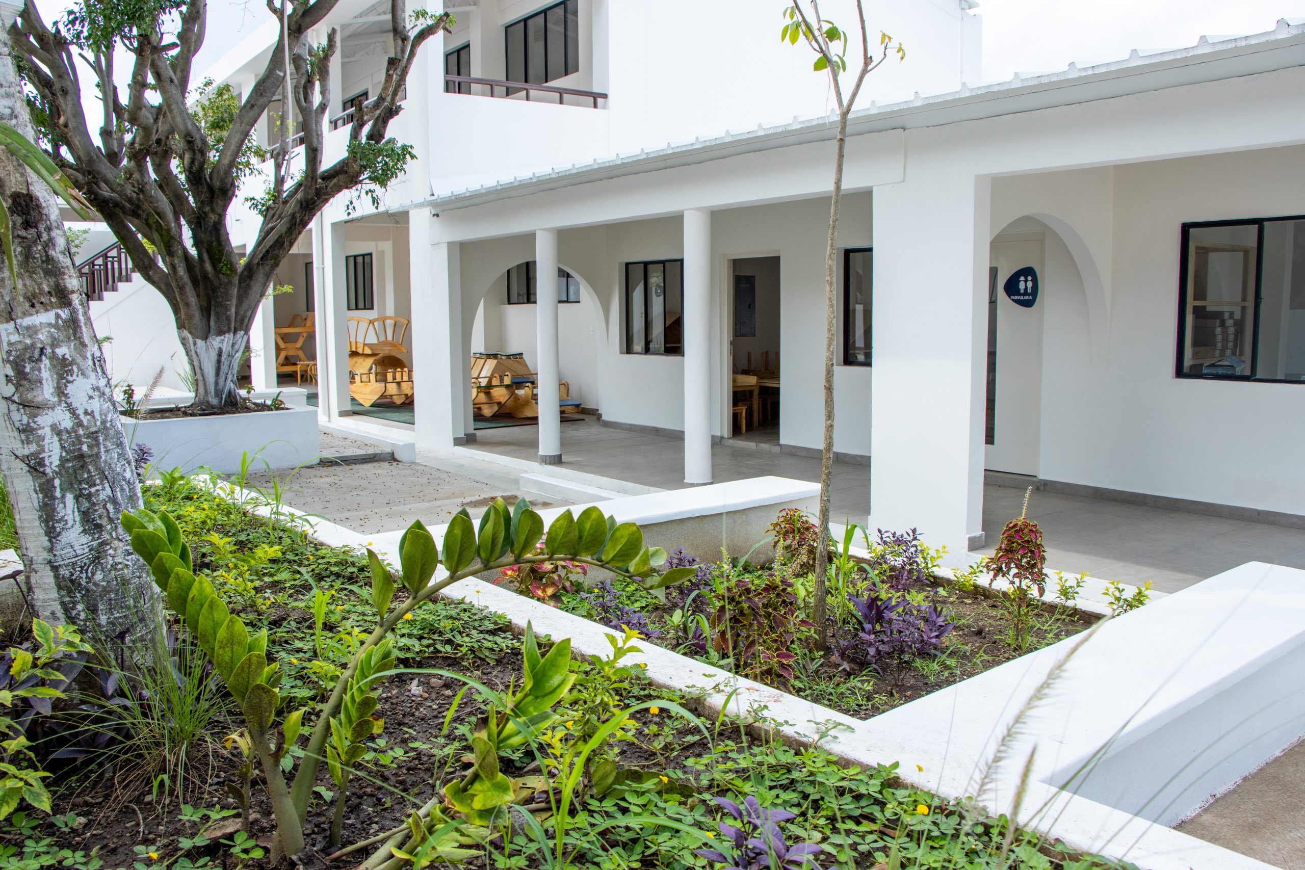 Imagen de la galería