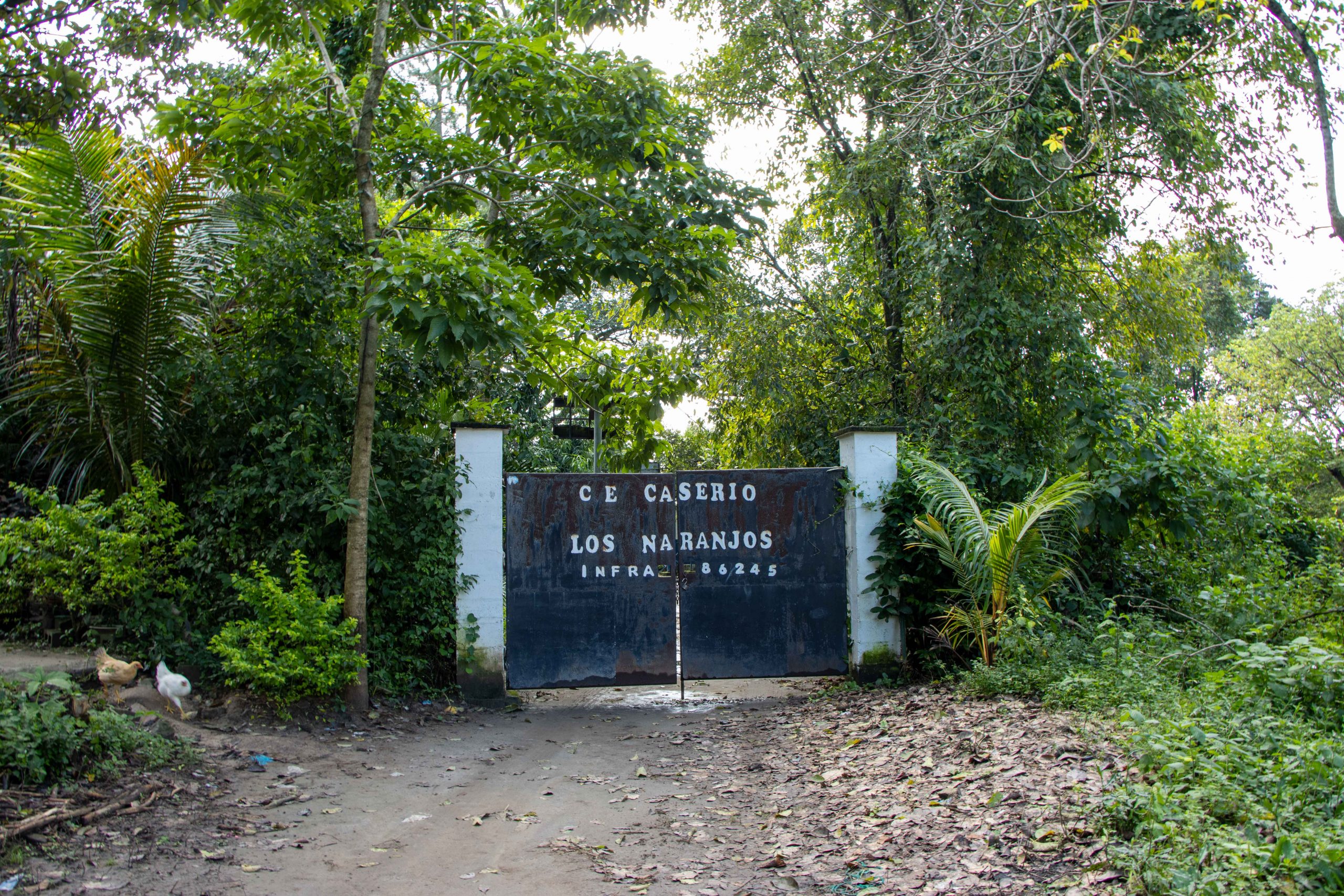 Imagen estado anterior