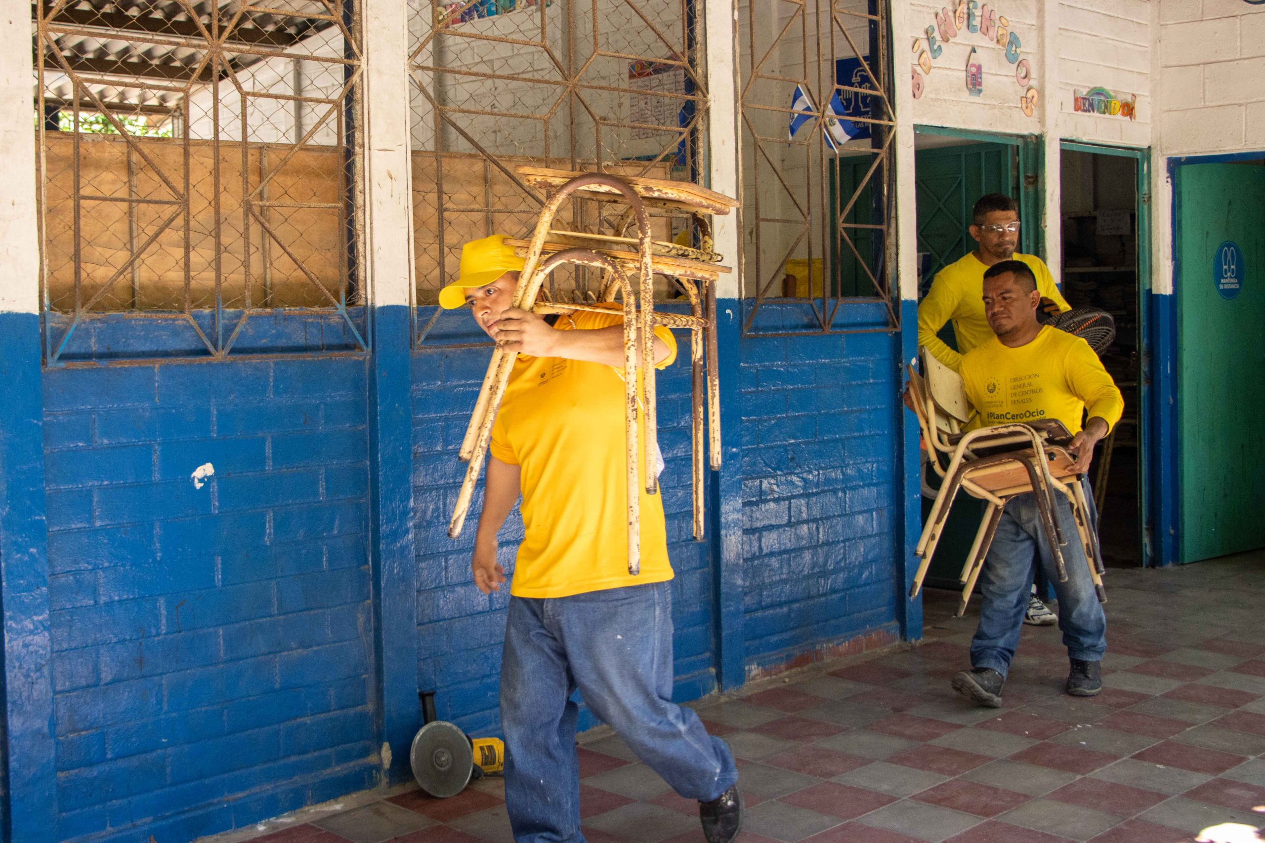 Imagen de la galería