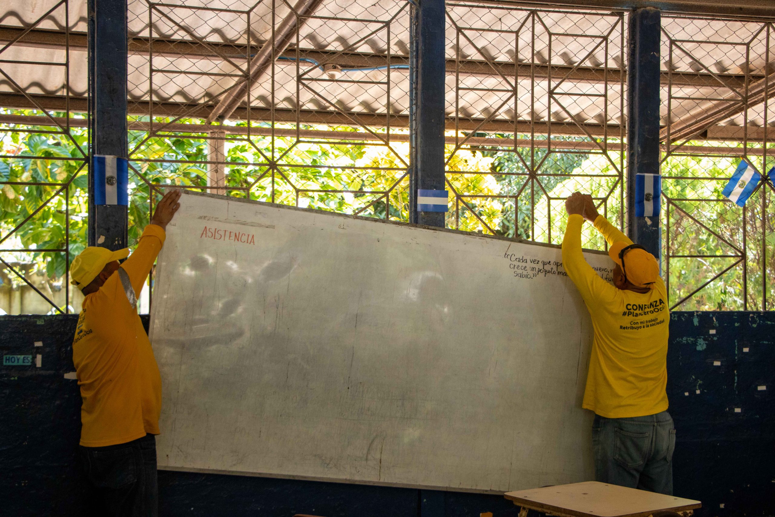 Imagen de la galería