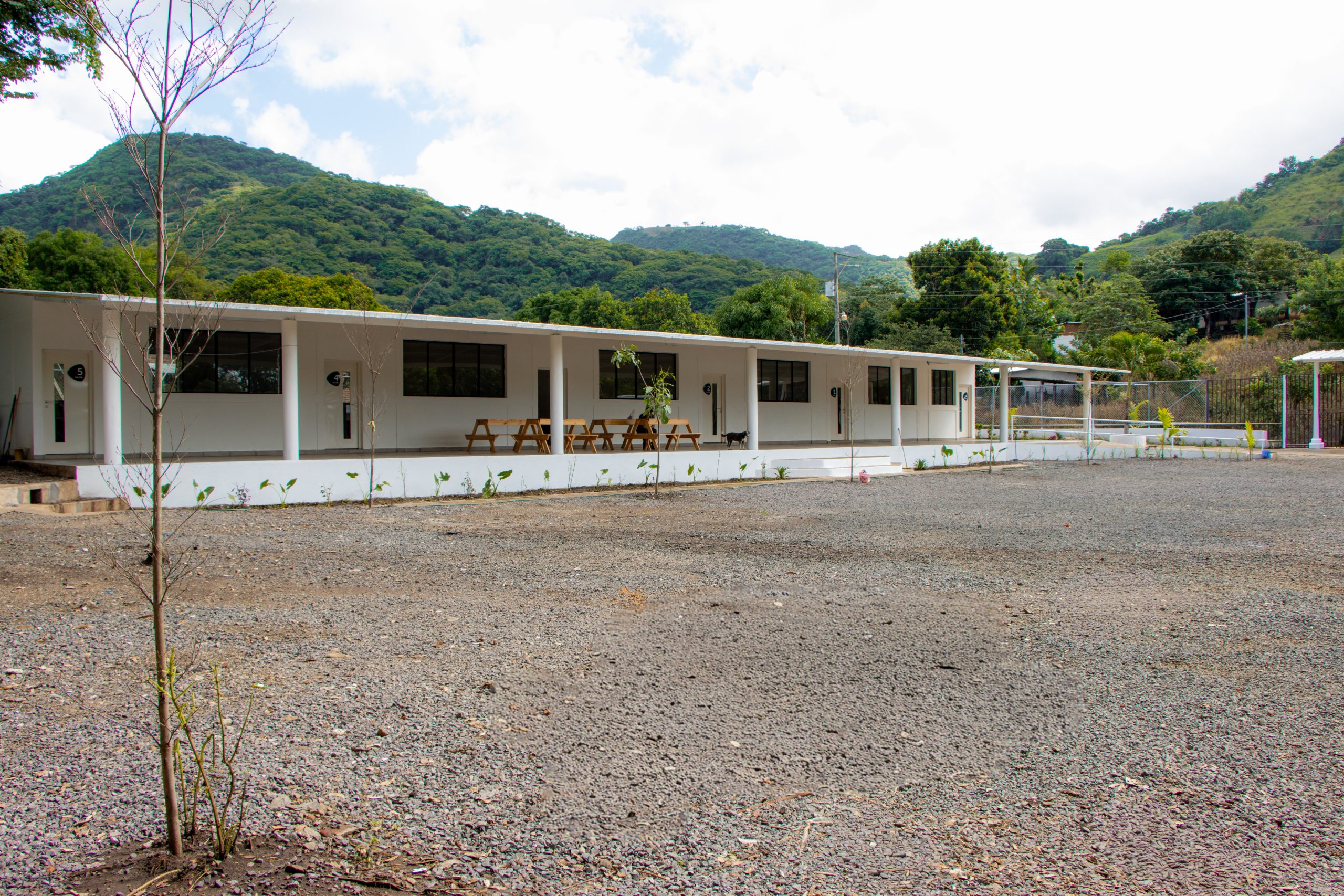 Imagen de la galería