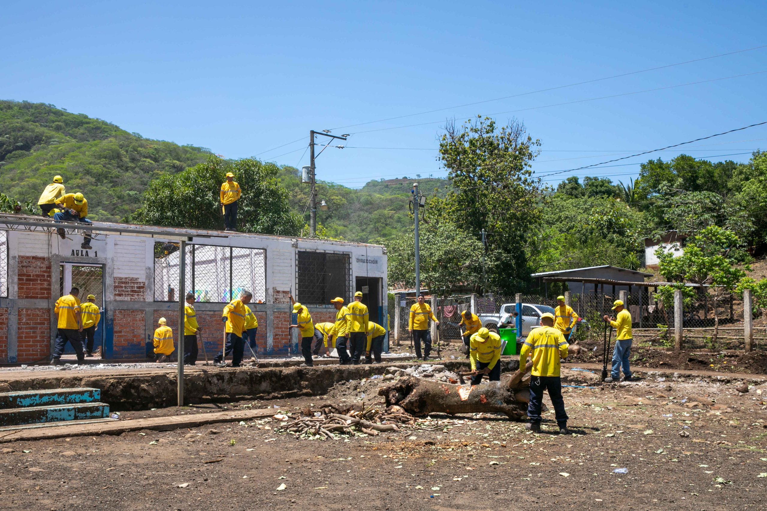 Imagen de la galería