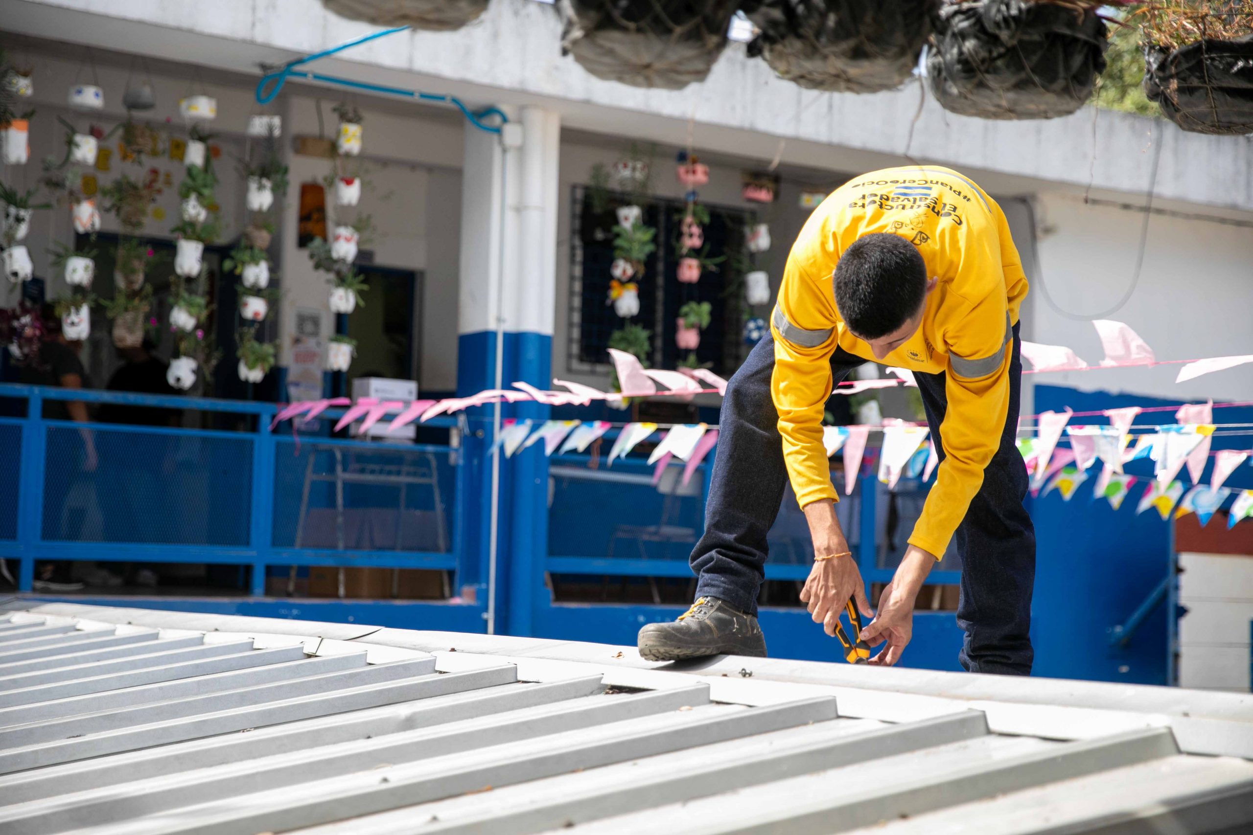 Imagen de la galería