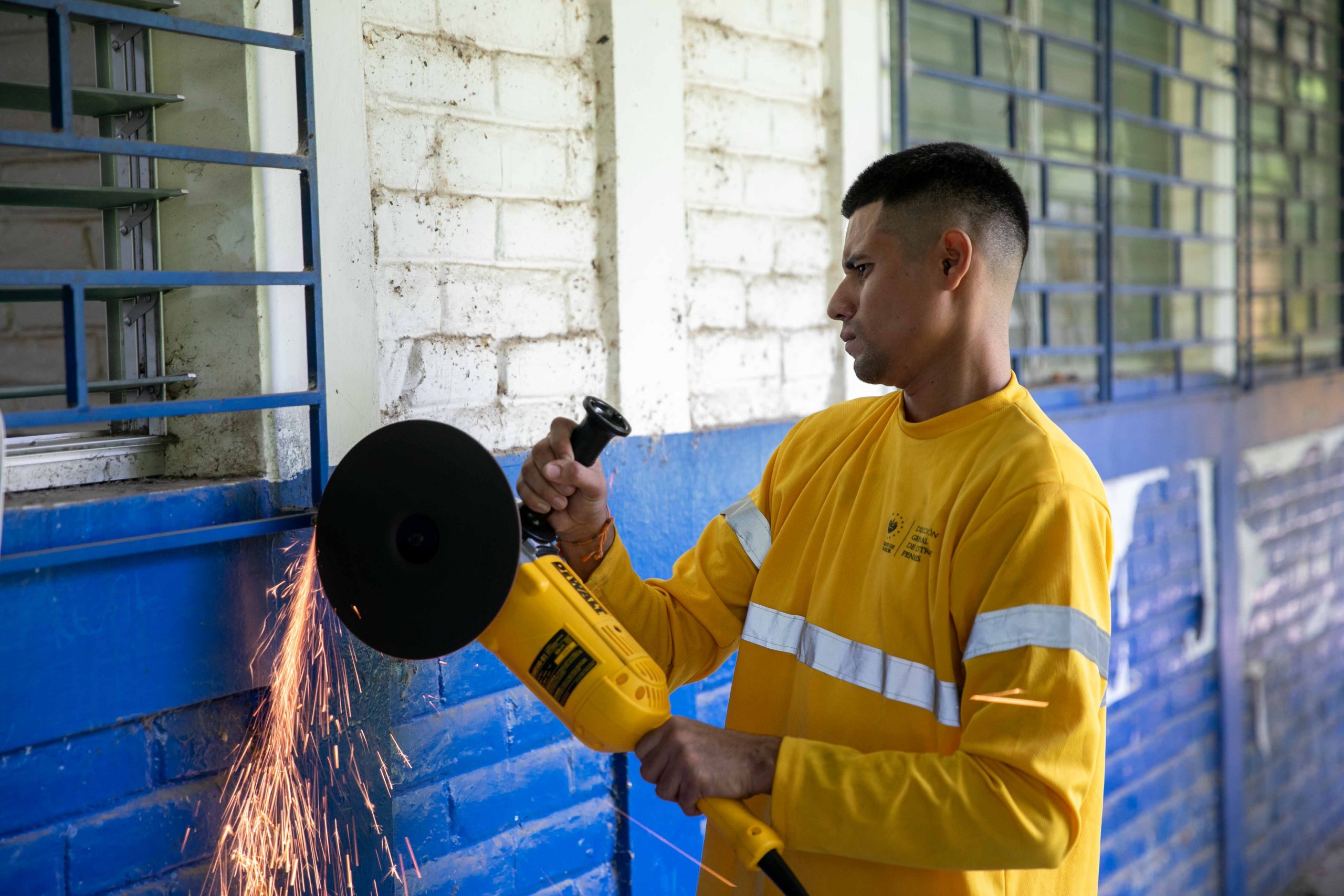 Imagen de la galería