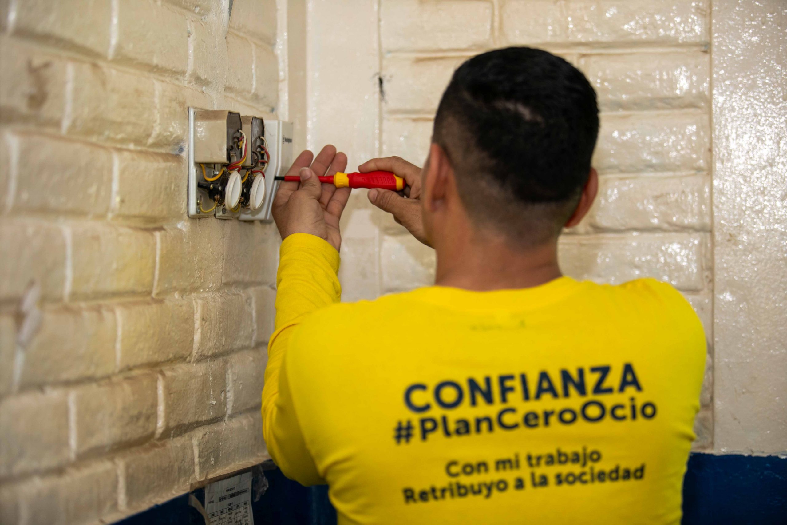 Imagen de la galería