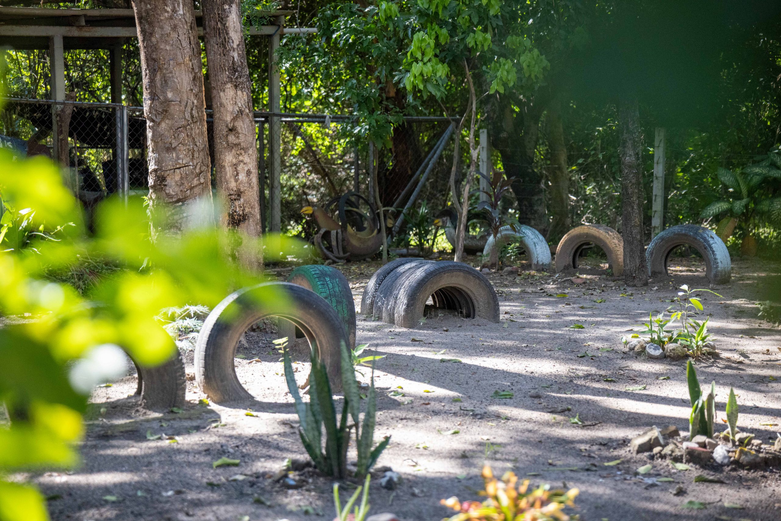 Imagen estado anterior