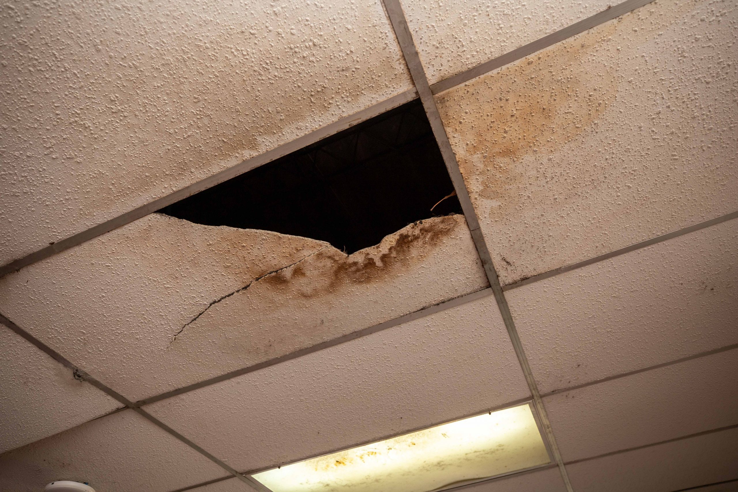 Imagen estado anterior