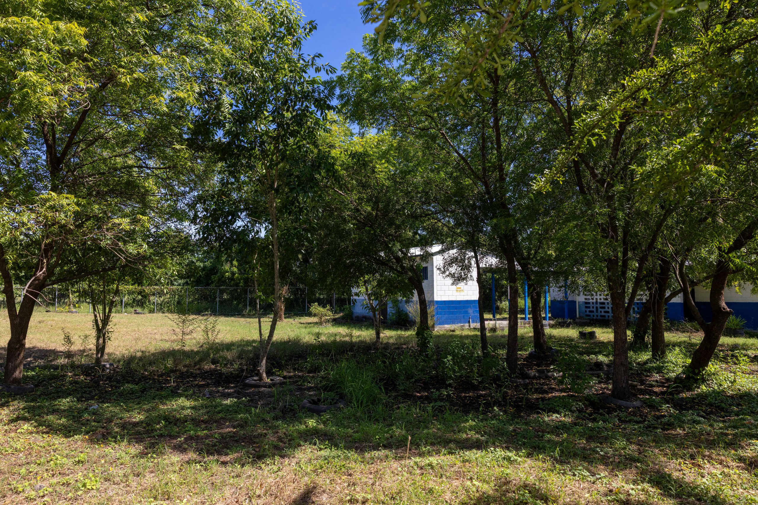 Imagen estado anterior