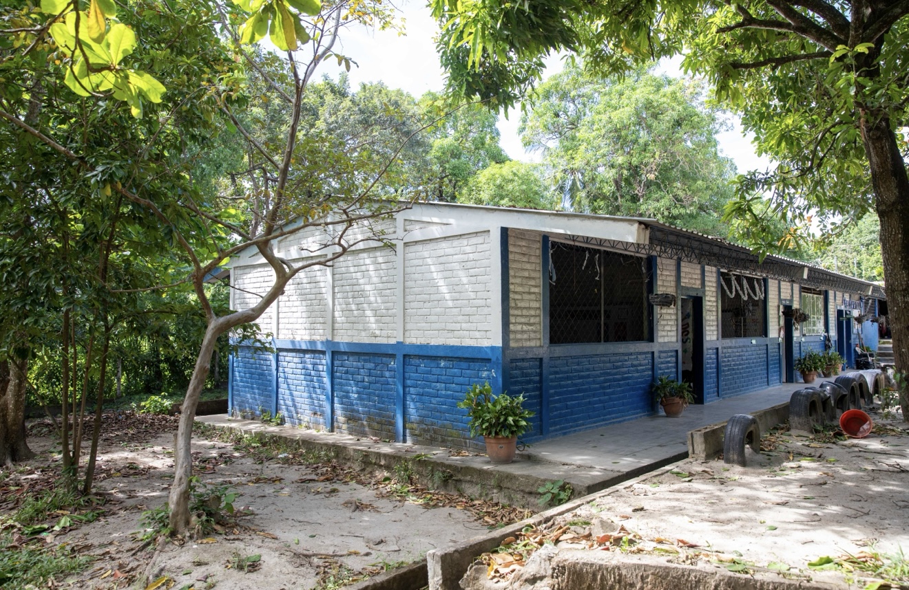 Imagen estado anterior