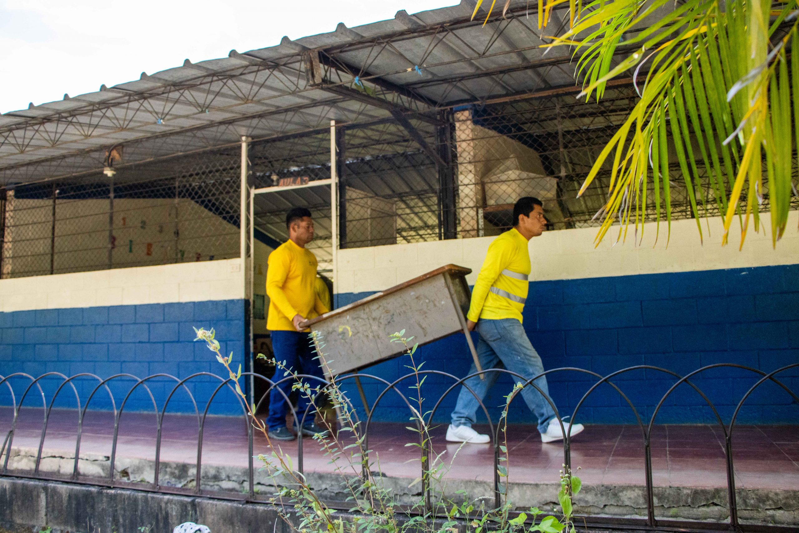 Imagen de la galería