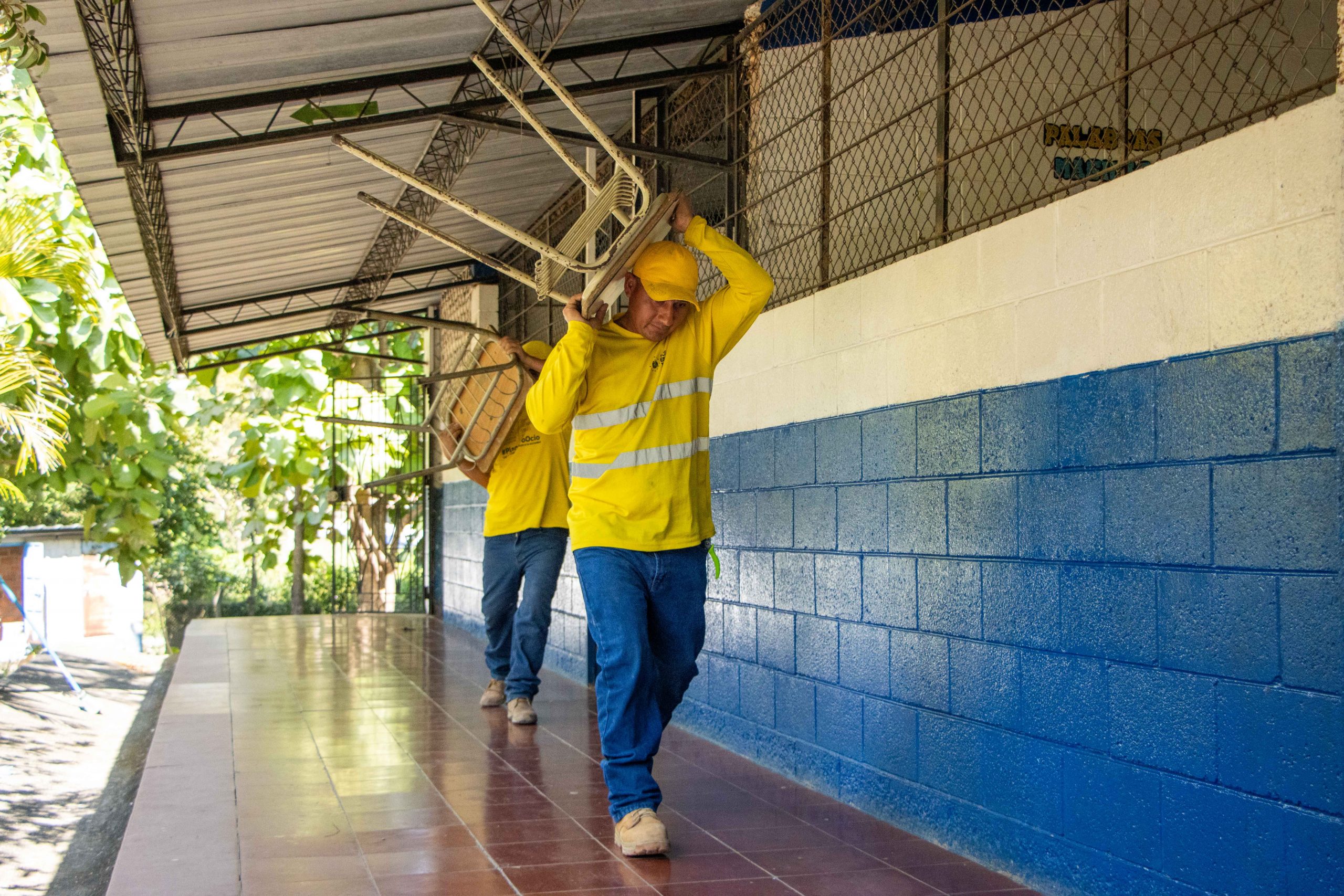 Imagen de la galería