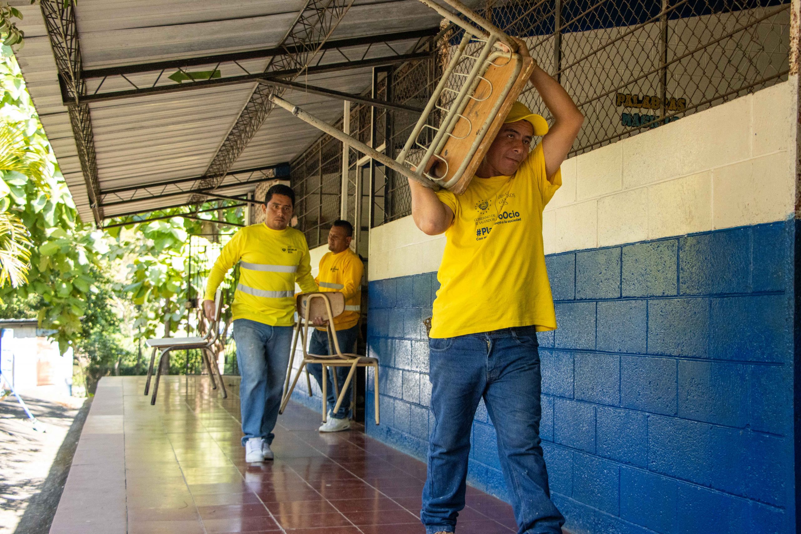 Imagen de la galería