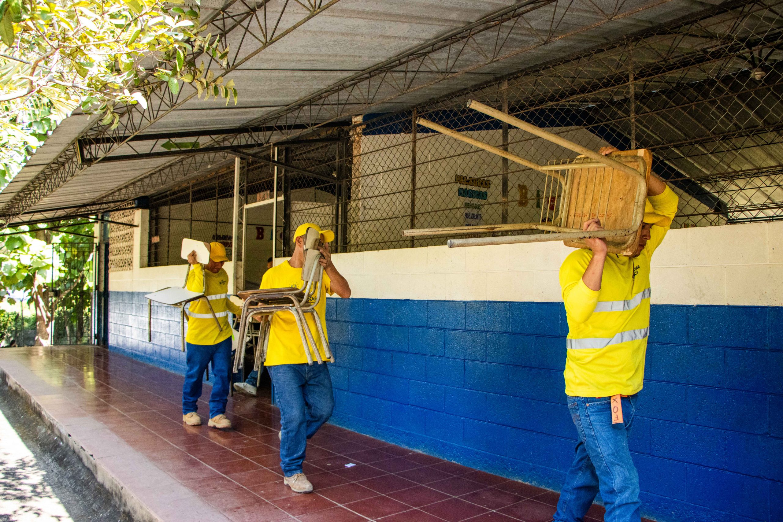 Imagen de la galería