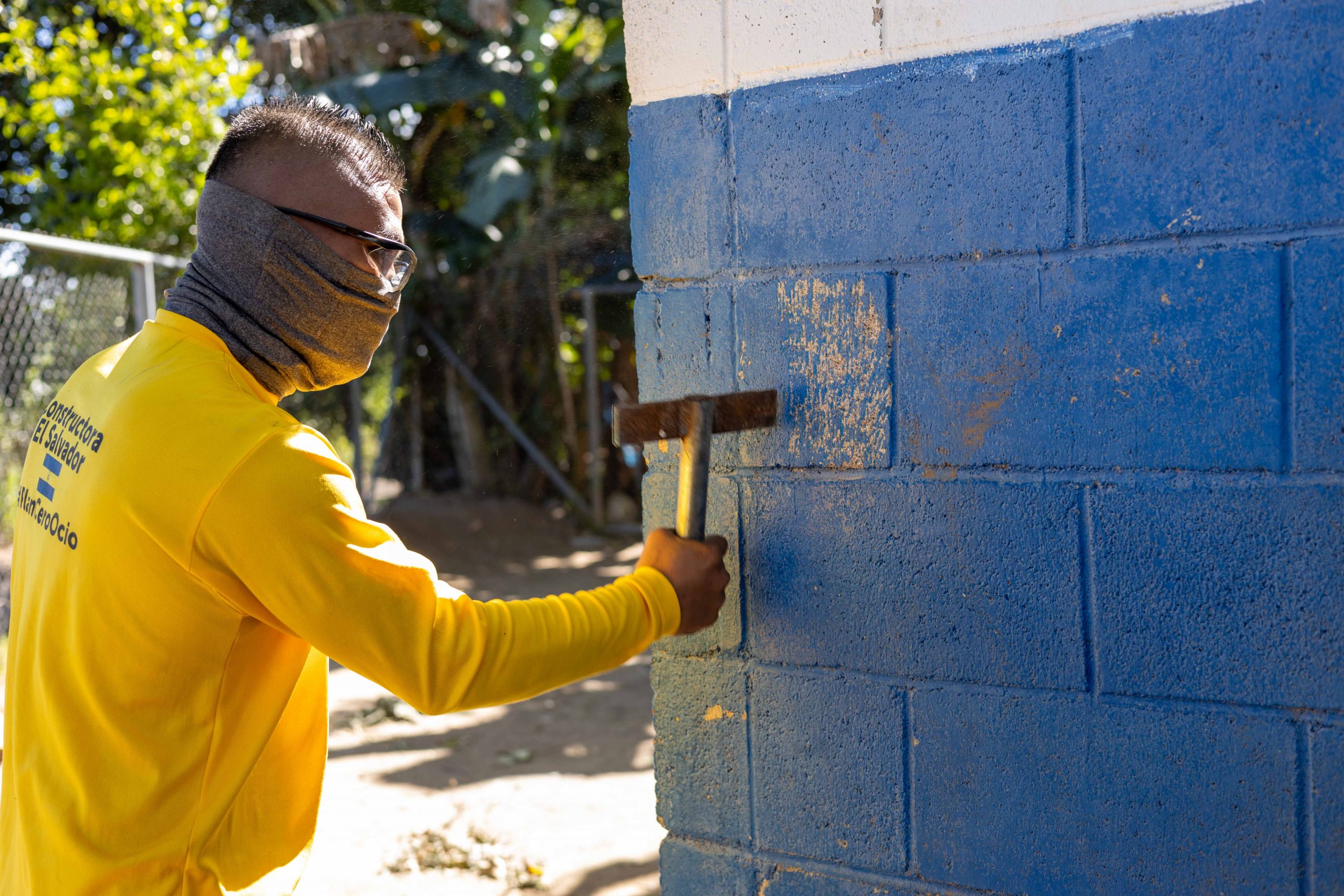 Imagen de la galería