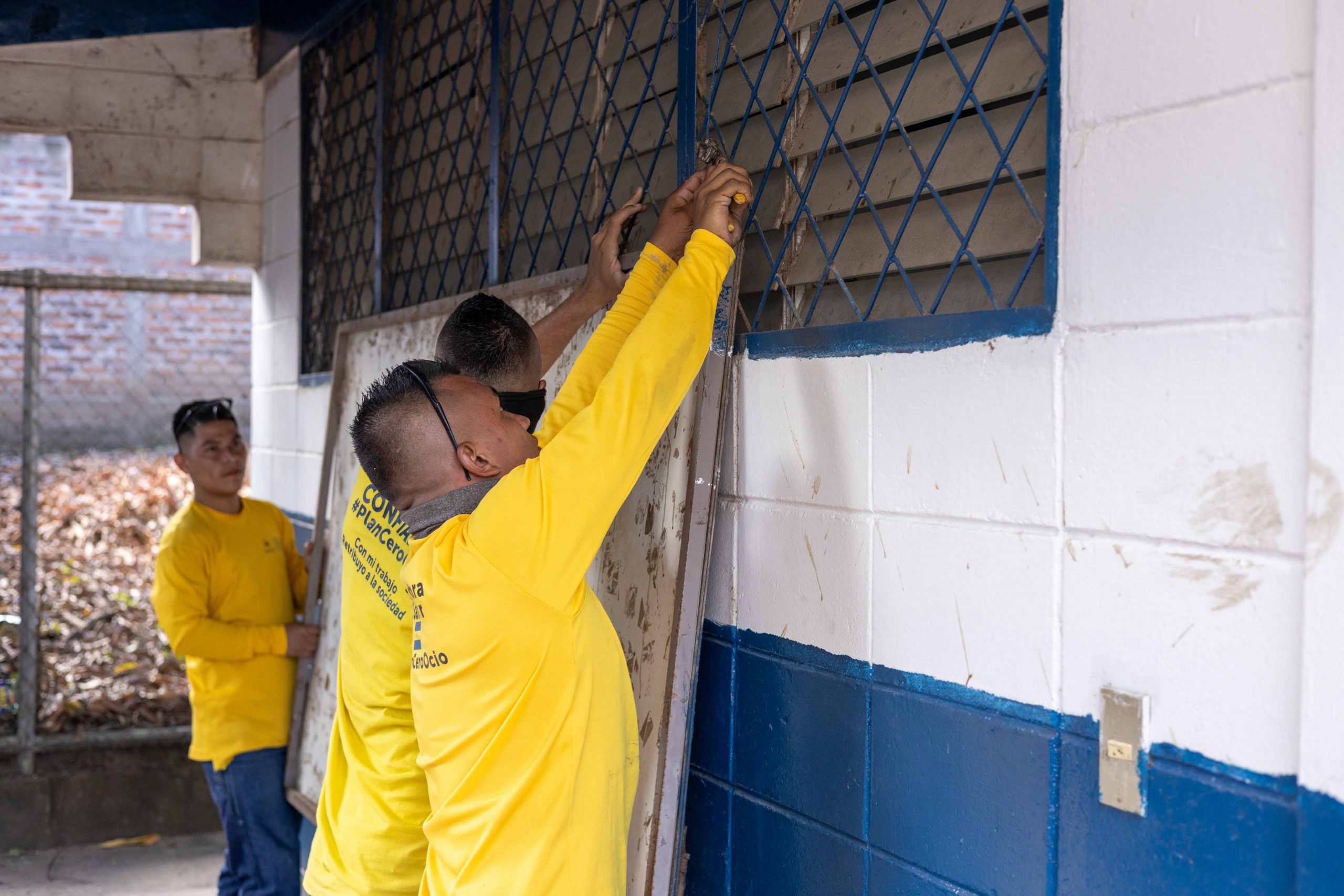 Imagen de la galería