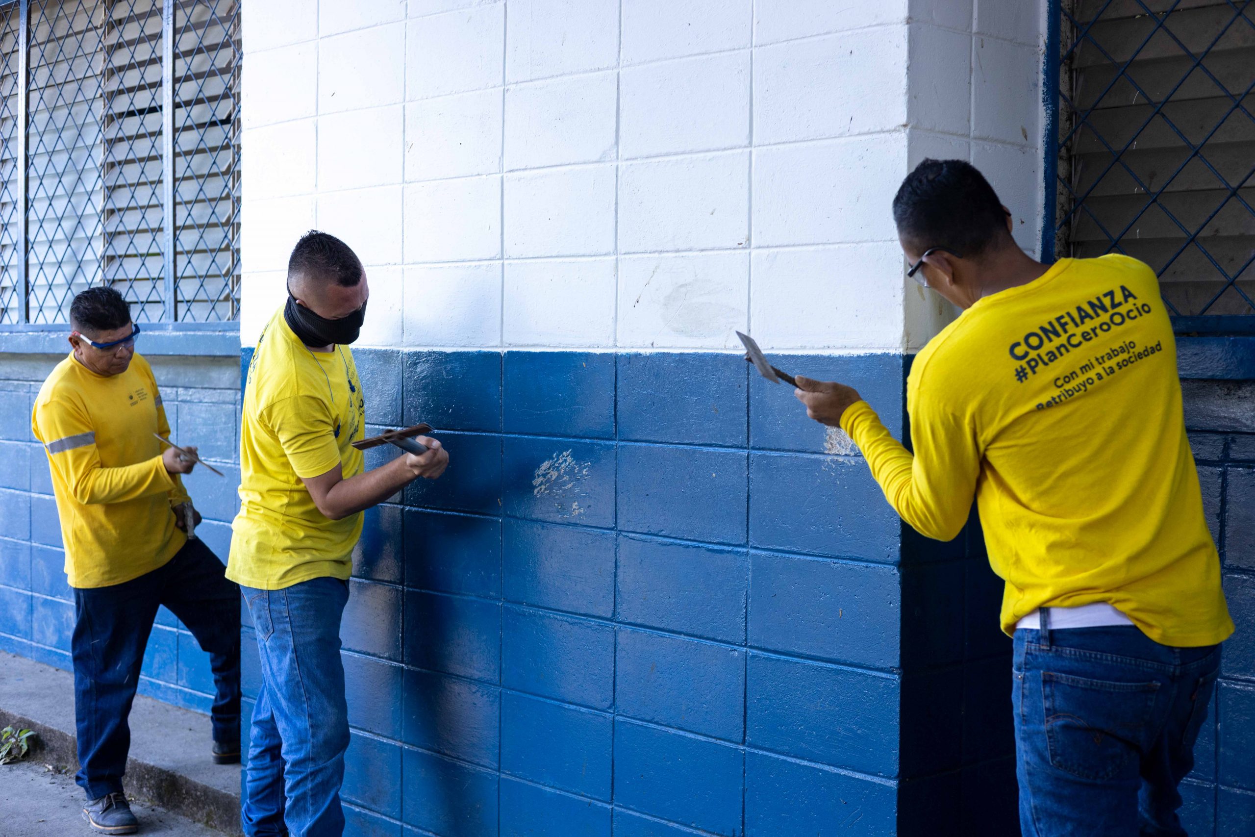 Imagen de la galería