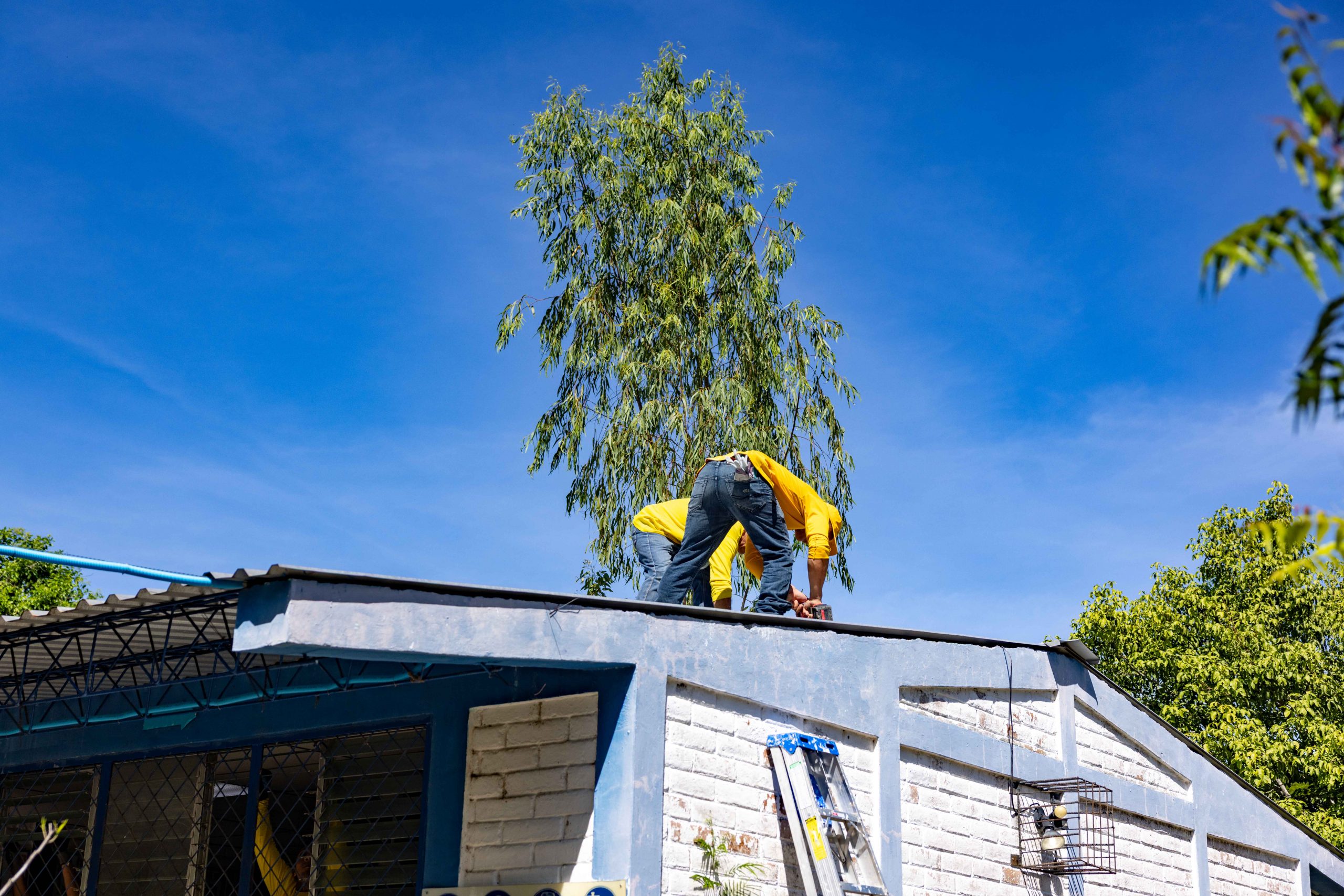 Imagen de la galería