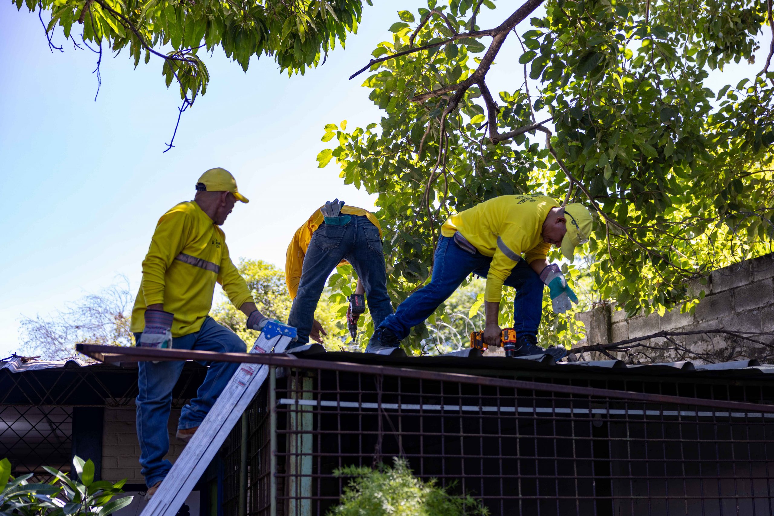 Imagen de la galería