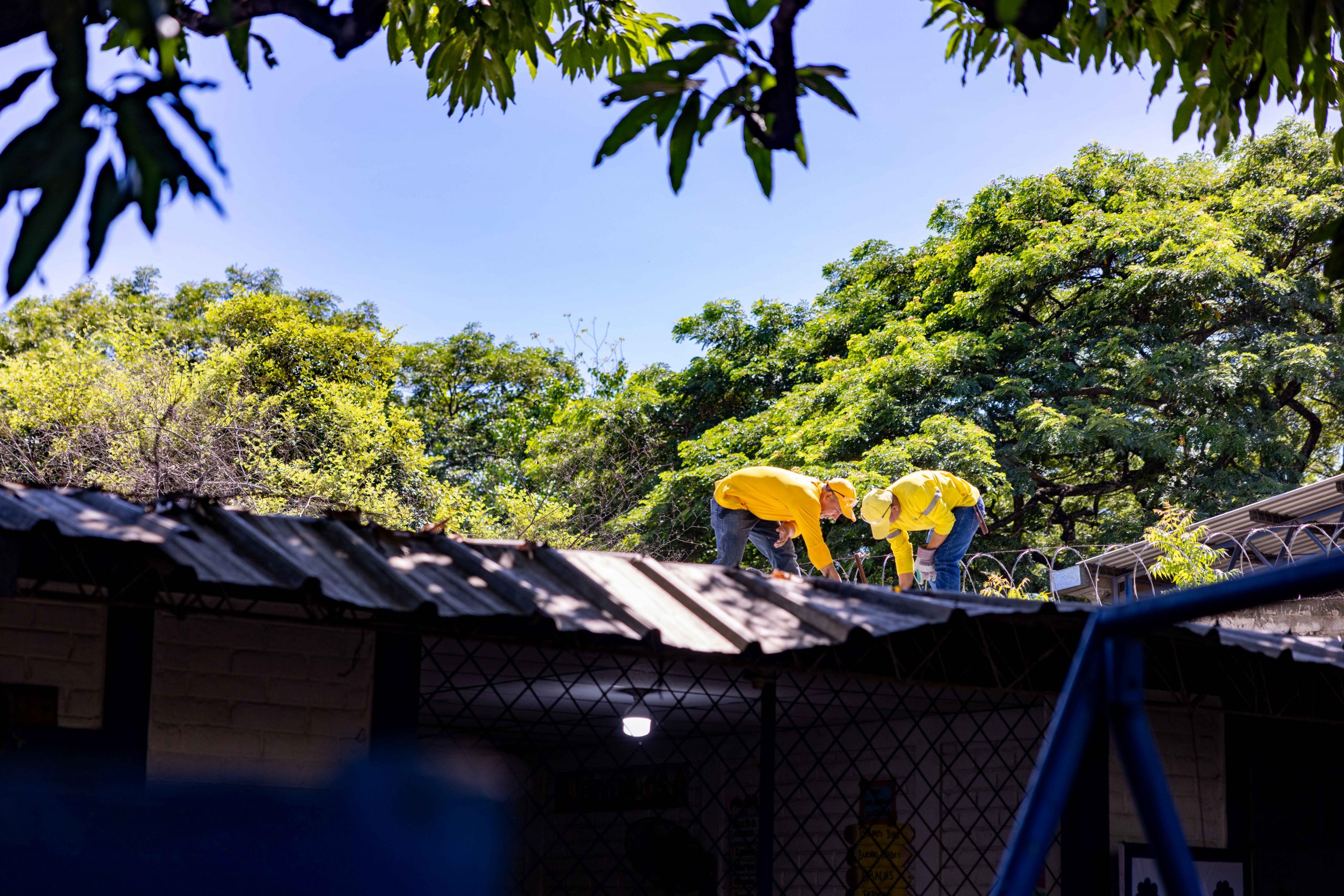 Imagen de la galería