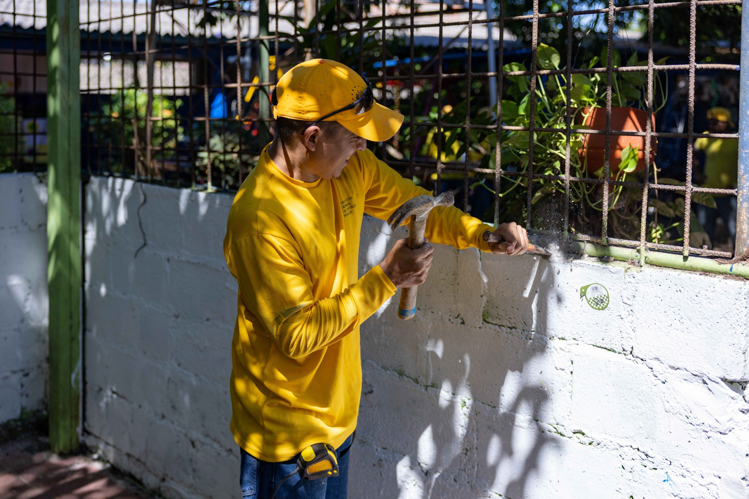 Imagen de la galería