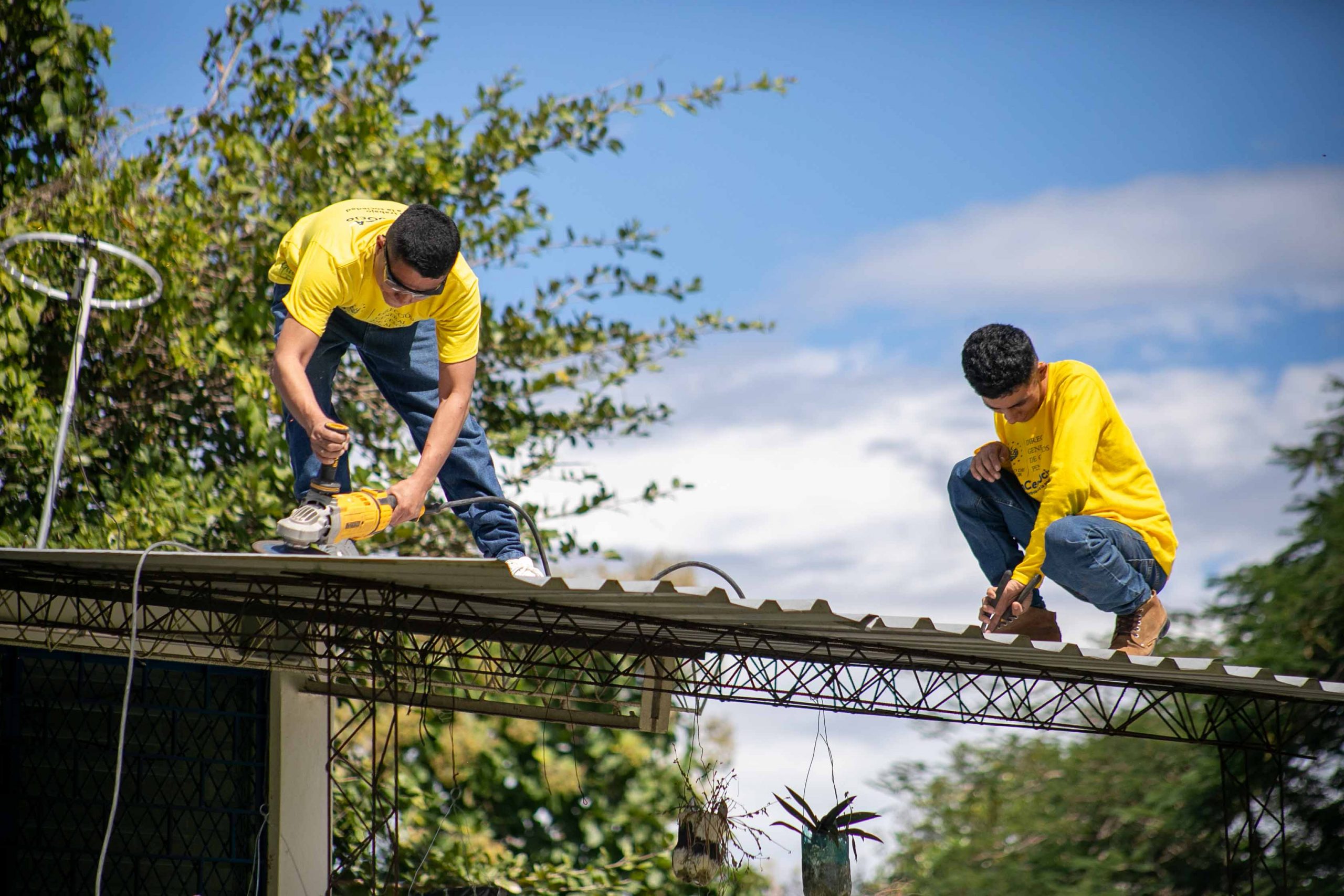 Imagen de la galería