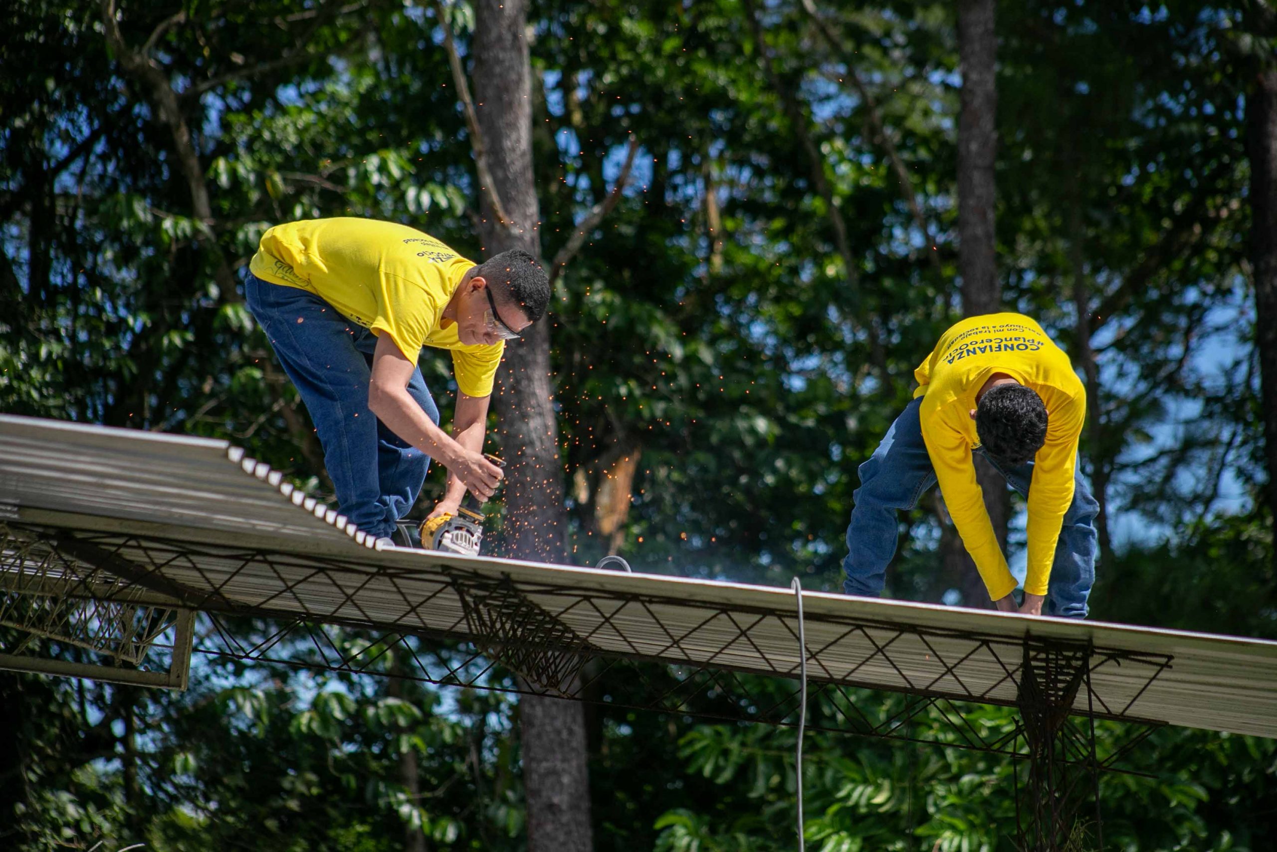 Imagen de la galería