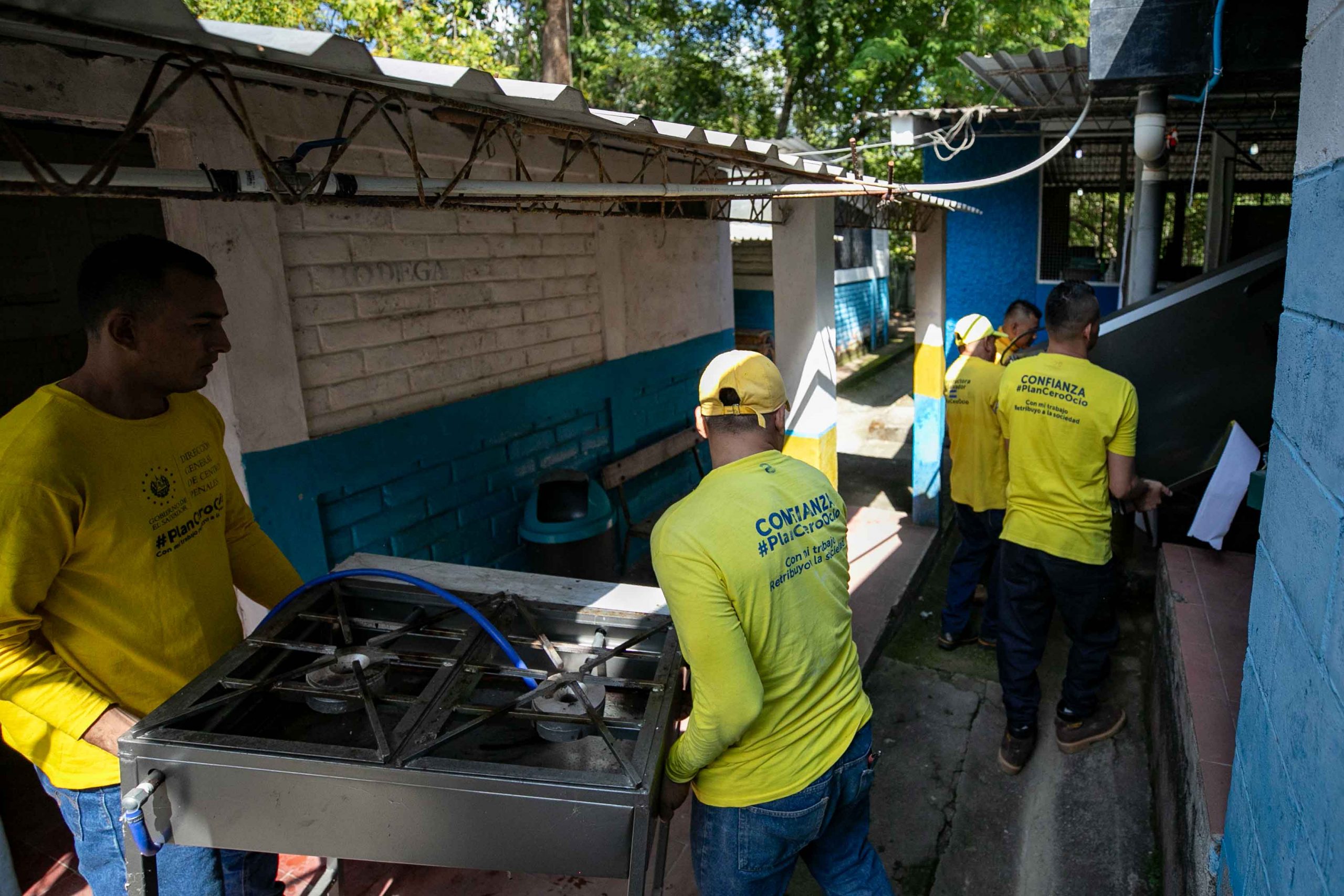 Imagen de la galería