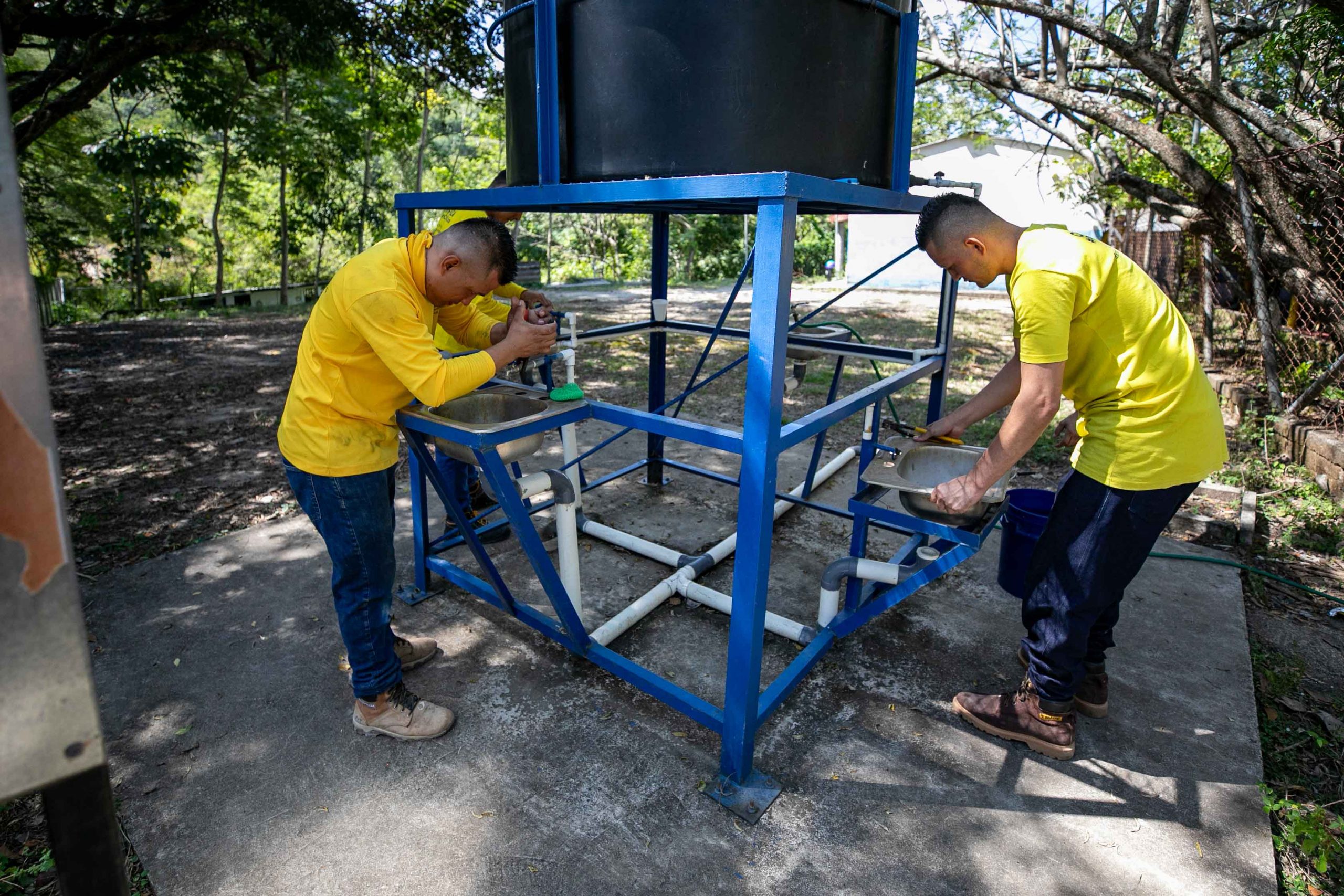 Imagen de la galería