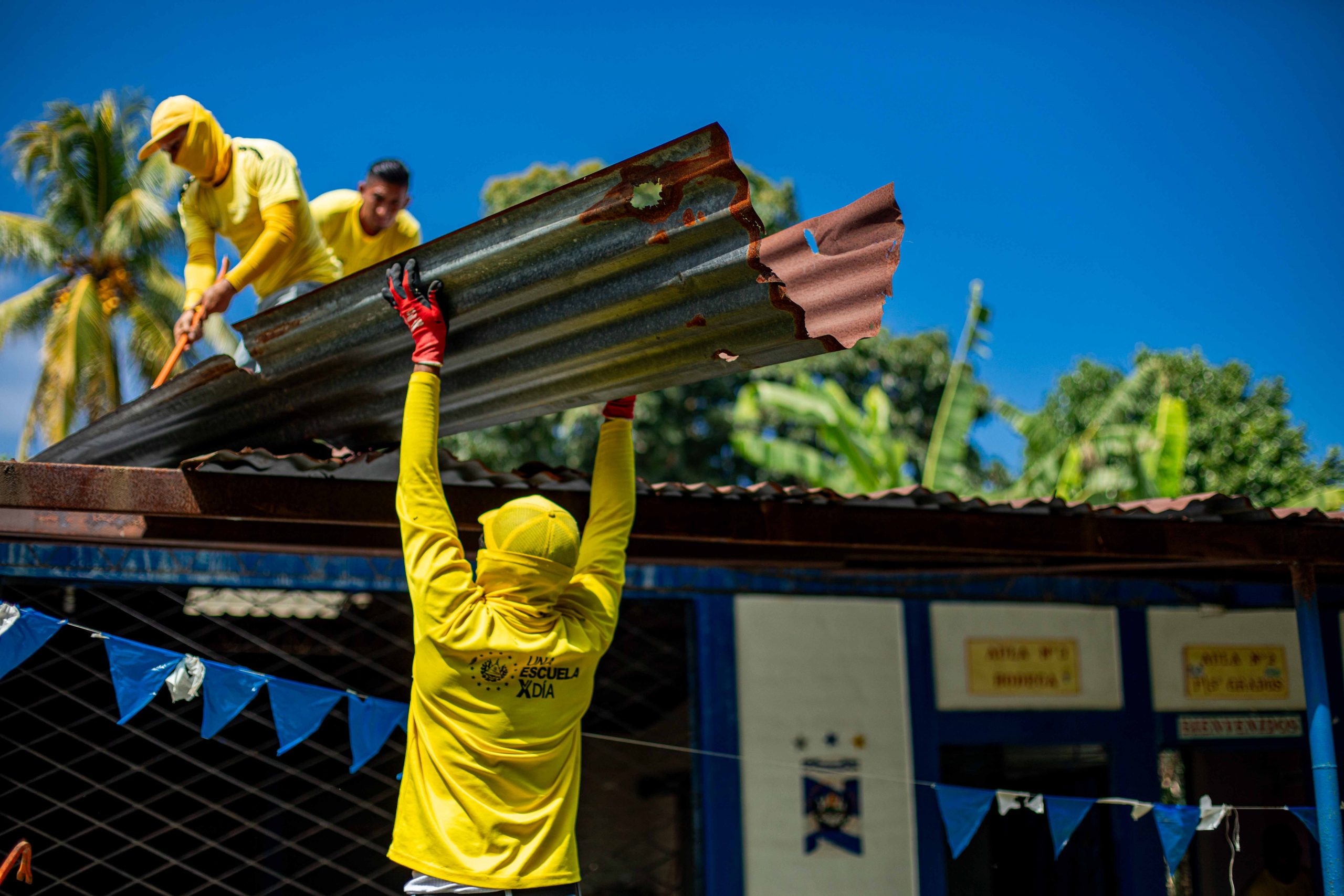 Imagen de la galería