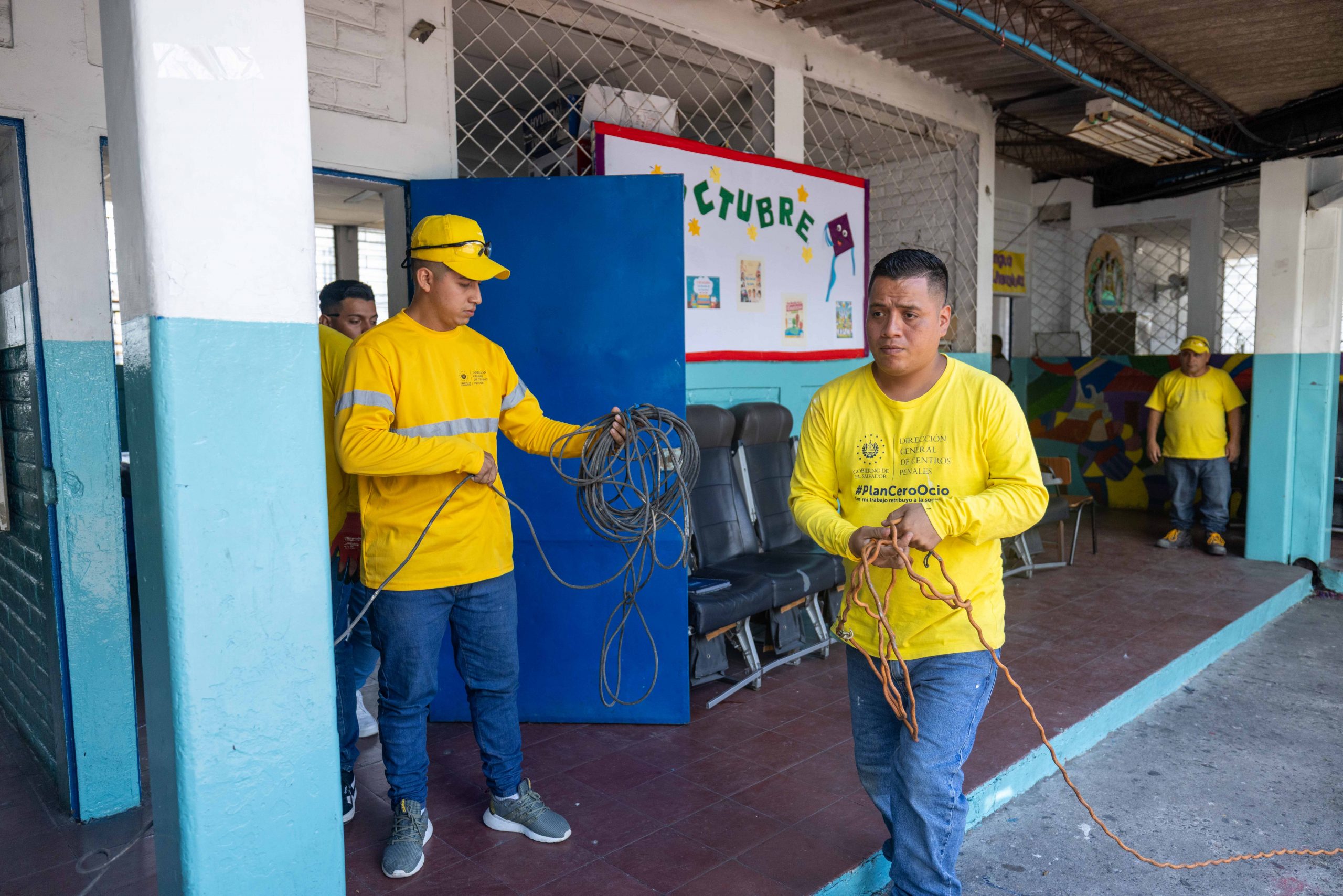 Imagen de la galería