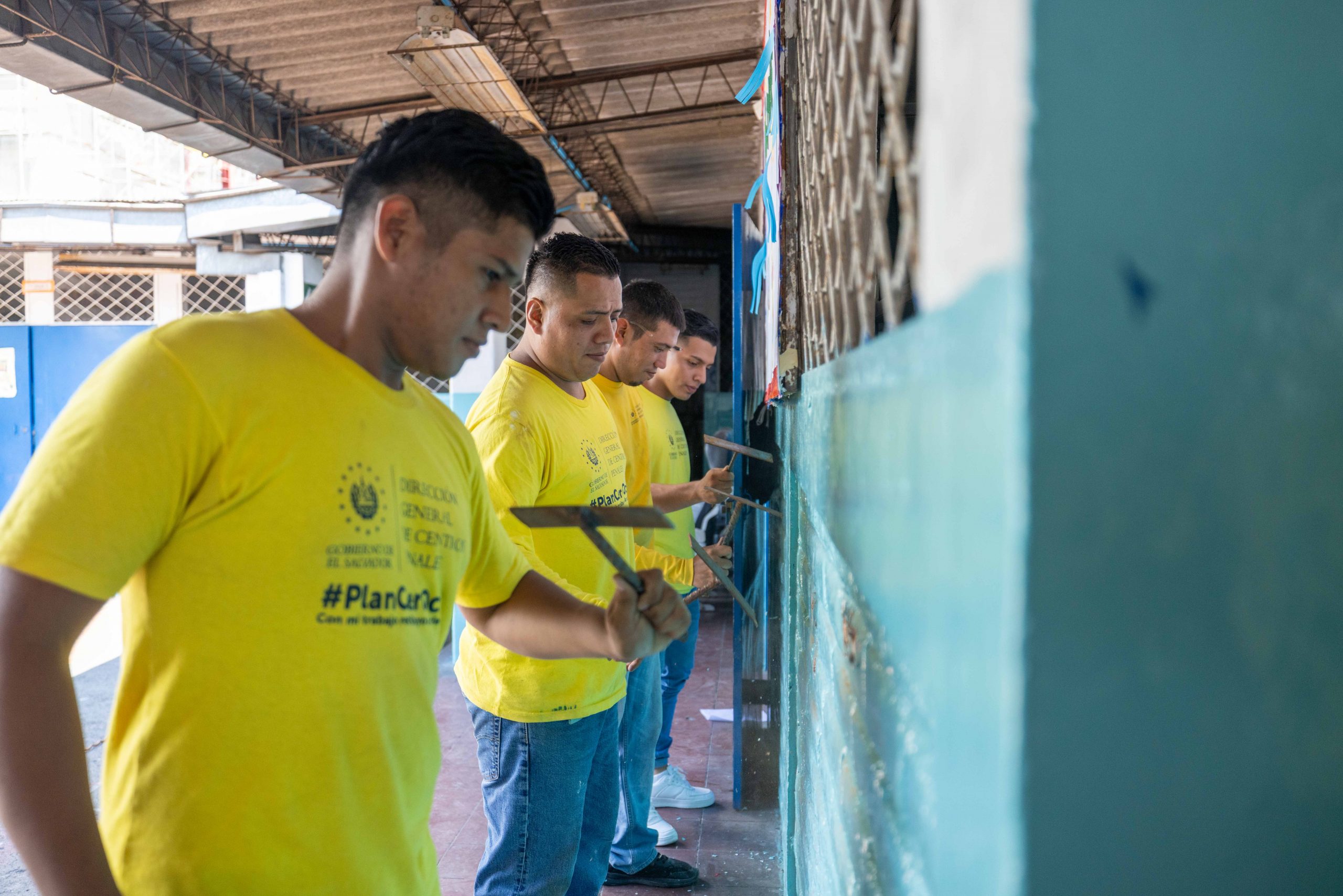 Imagen de la galería