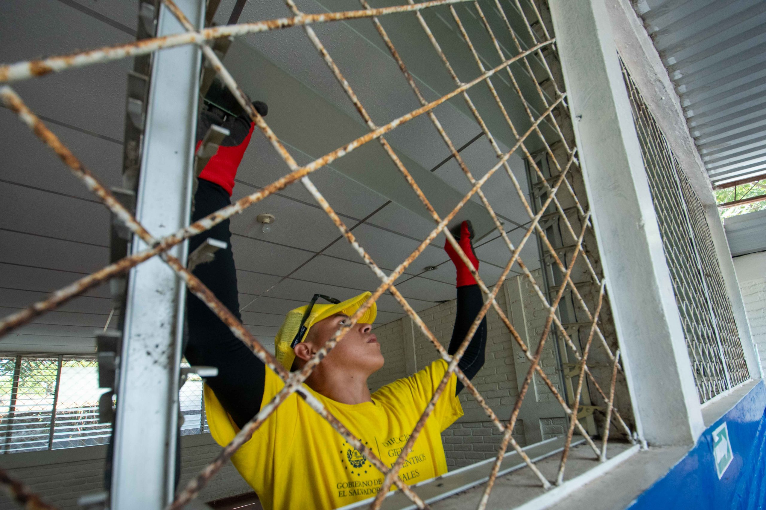 Imagen de la galería