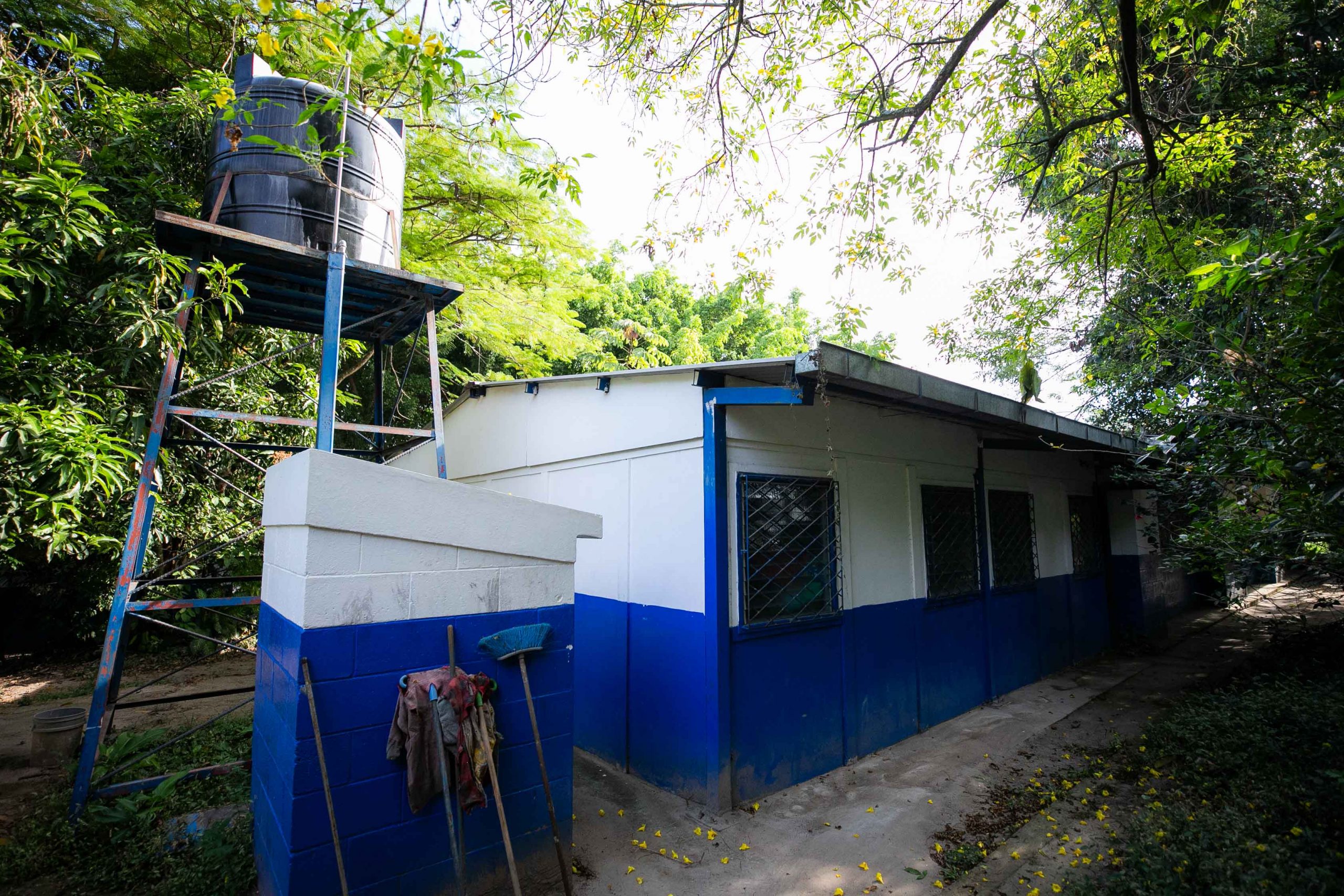 Imagen estado anterior