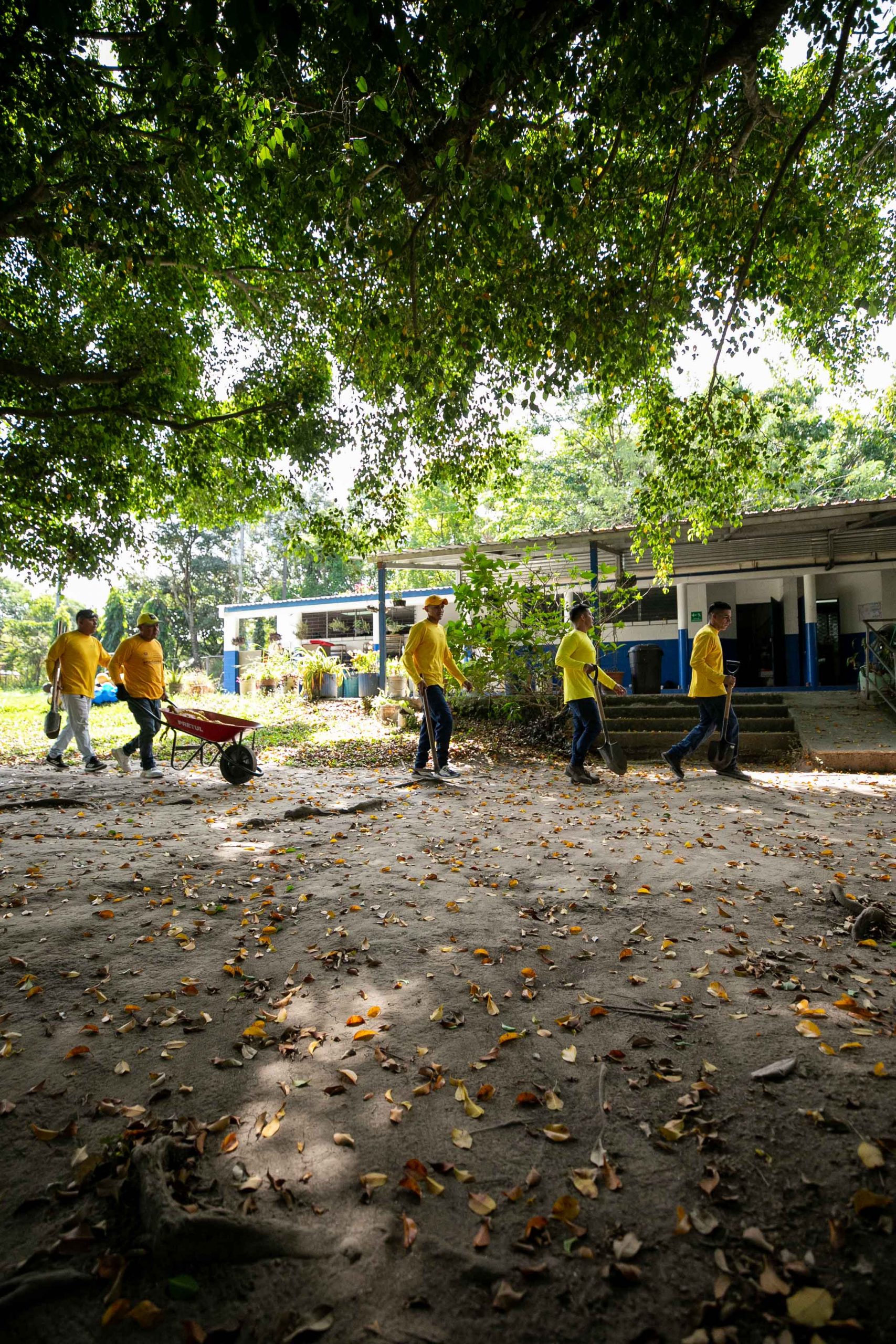 Imagen de la galería