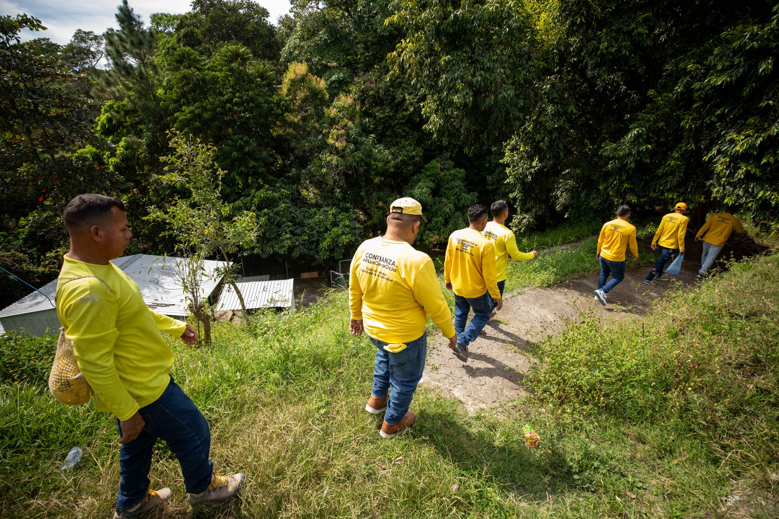 Imagen de la galería