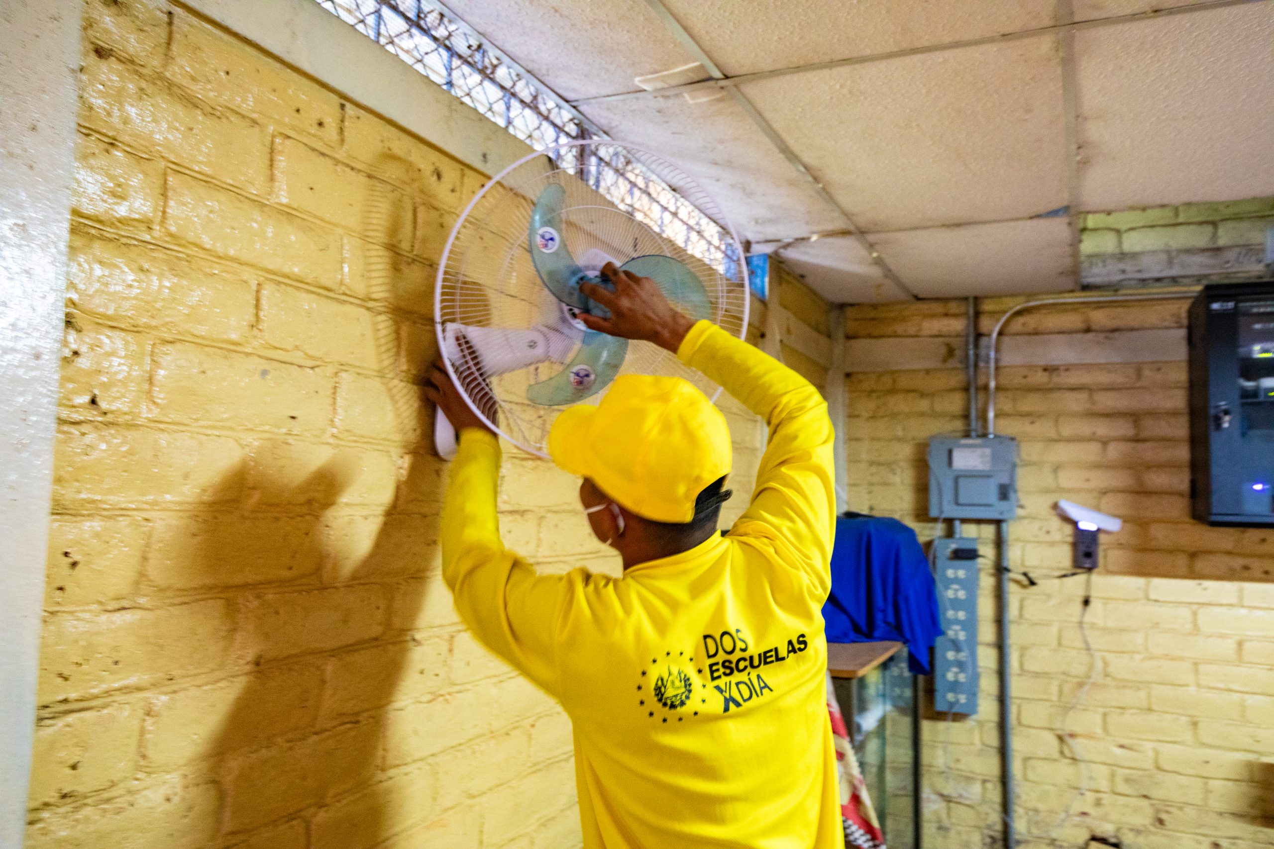 Imagen de la galería