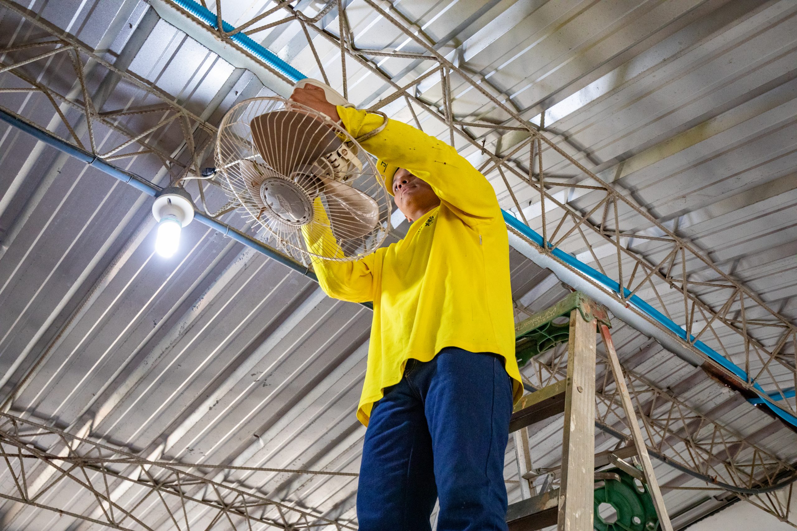 Imagen de la galería