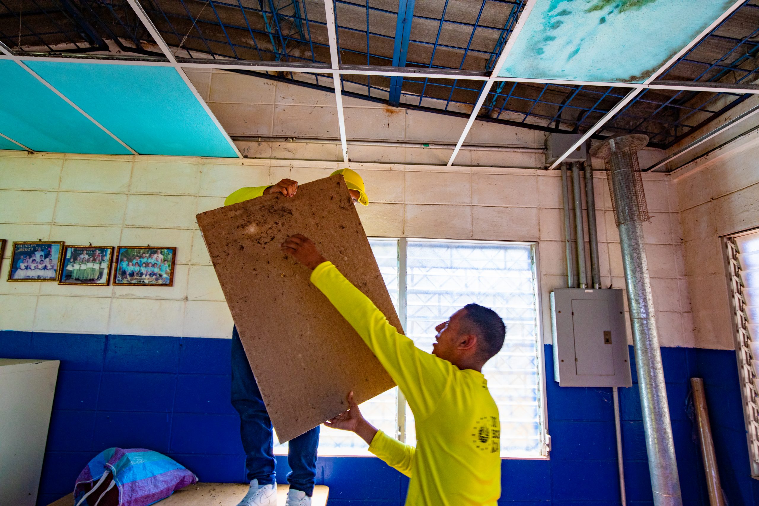 Imagen de la galería