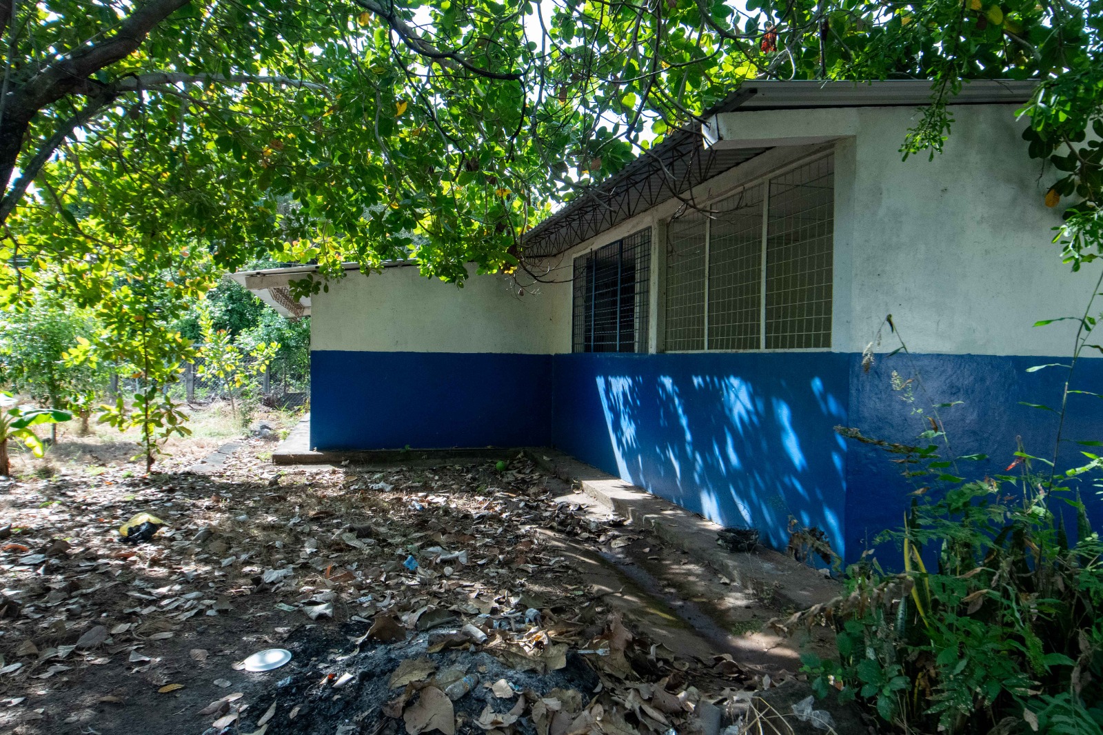 Imagen estado anterior