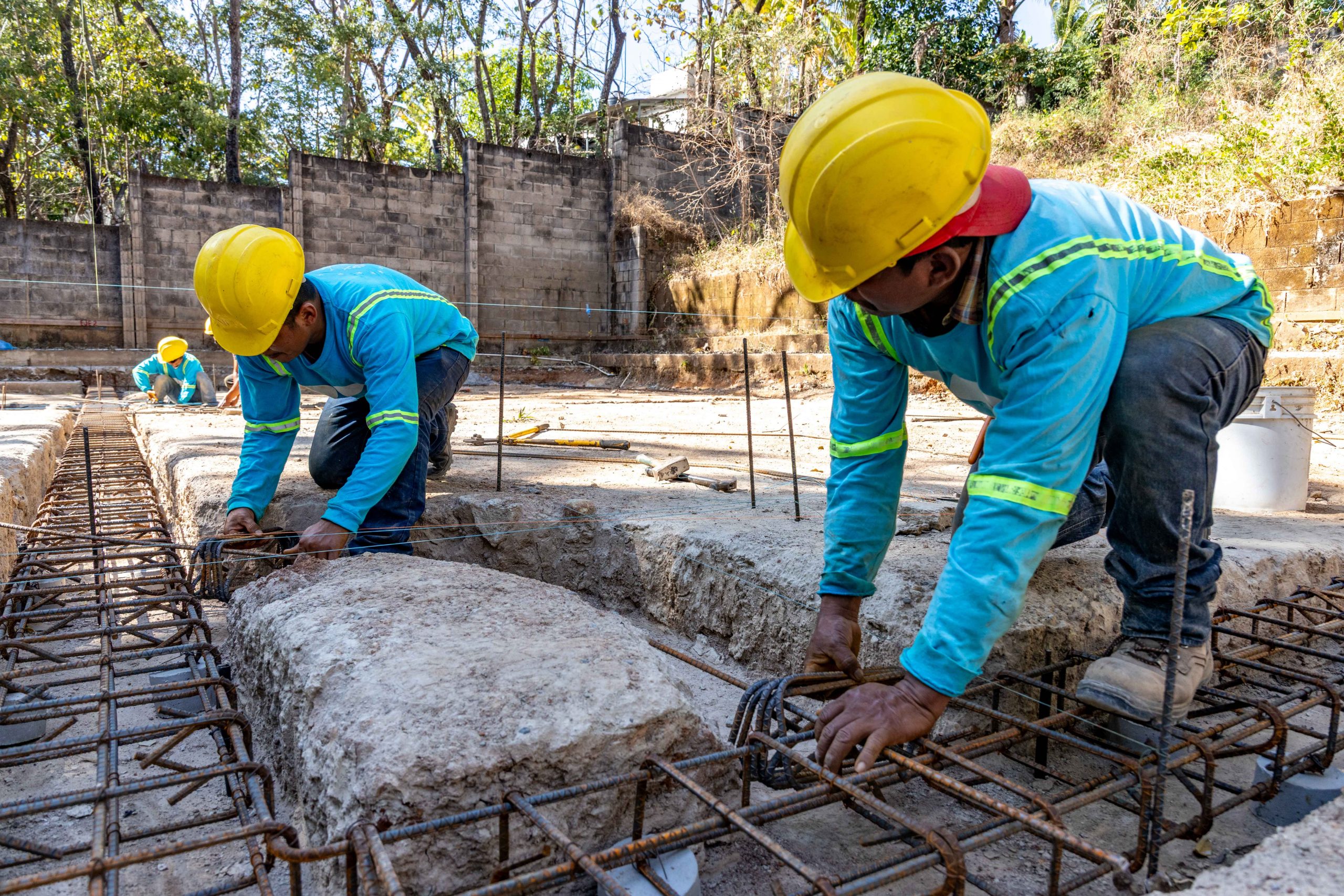 Imagen de la galería